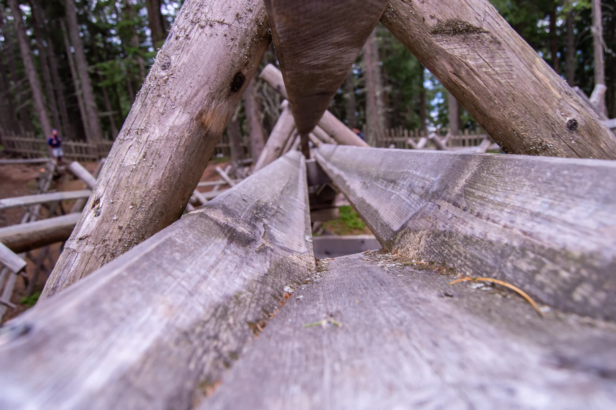 DSC_0439.jpg