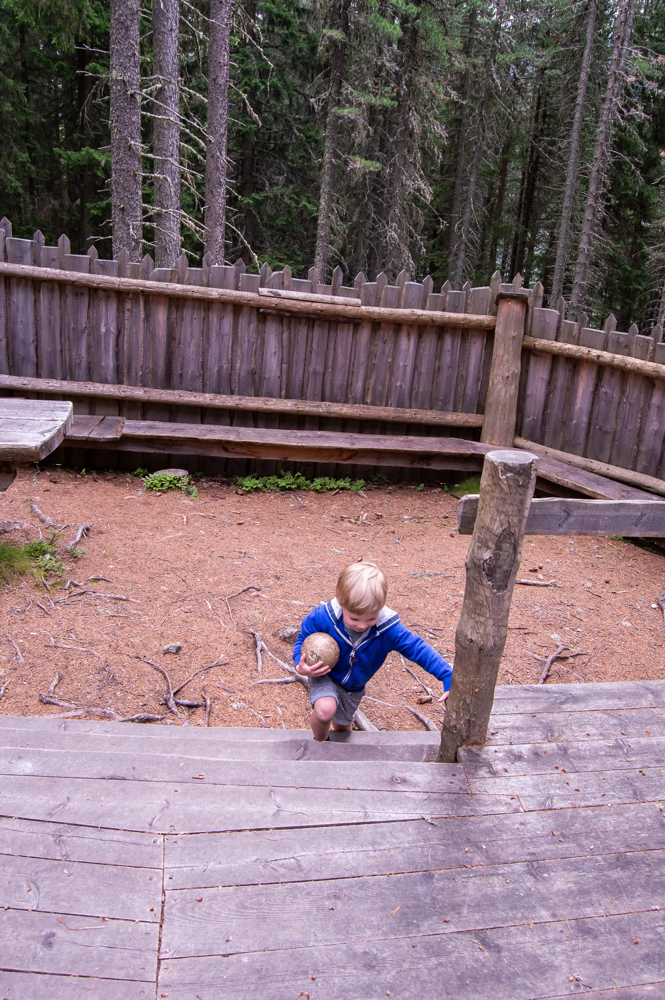 DSC_0440.jpg