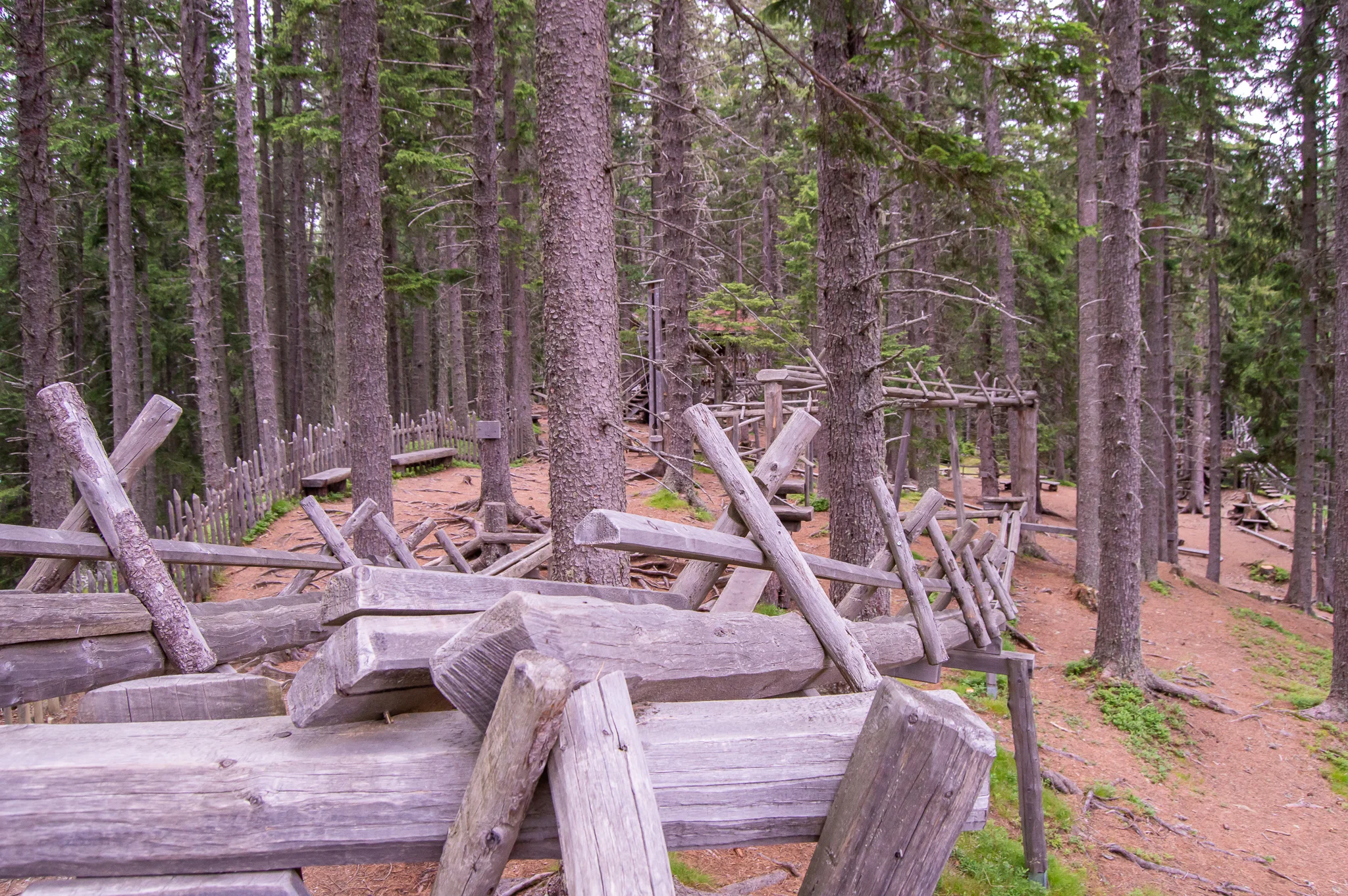 DSC_0457.jpg