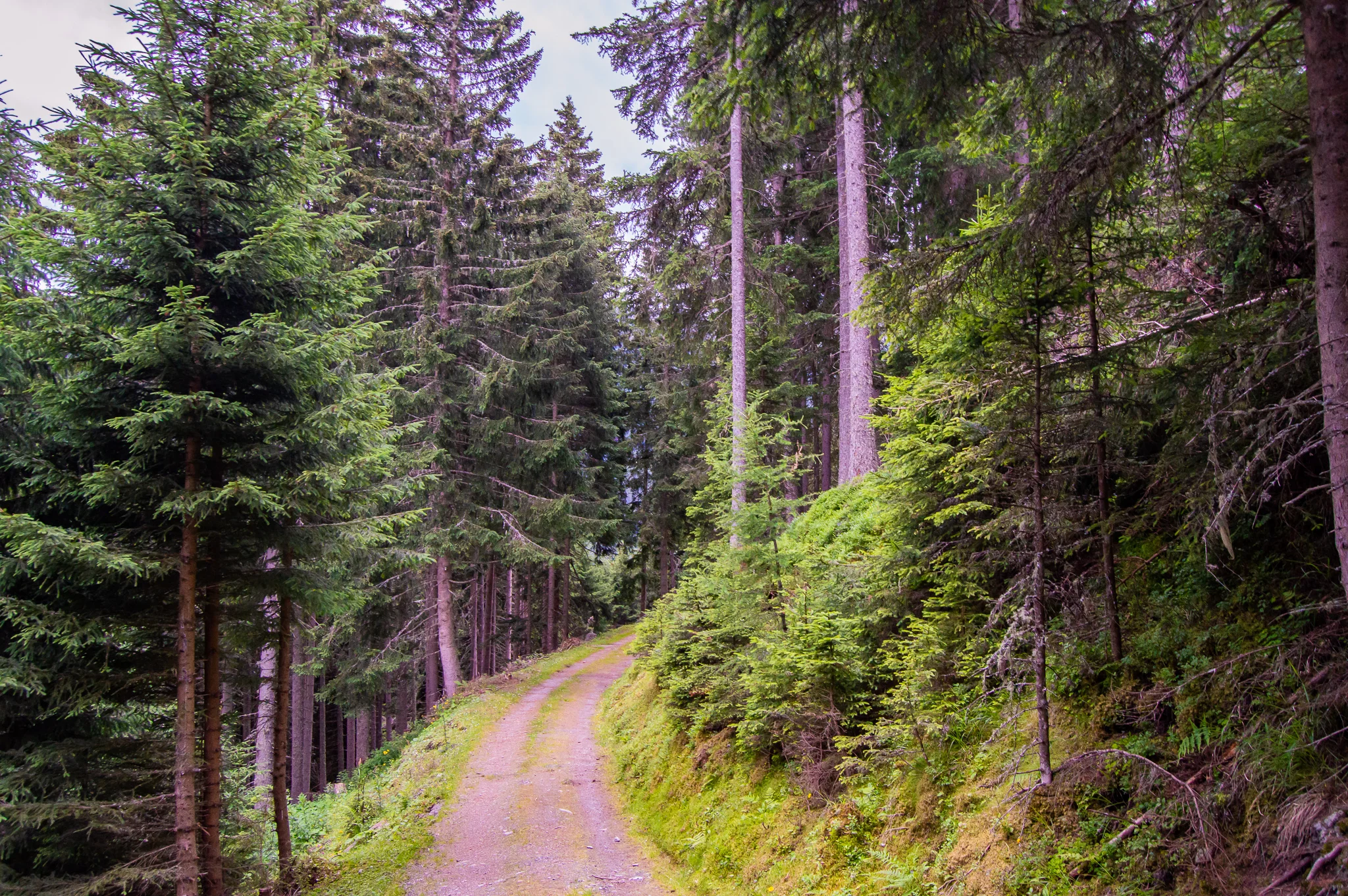 DSC_0470.jpg