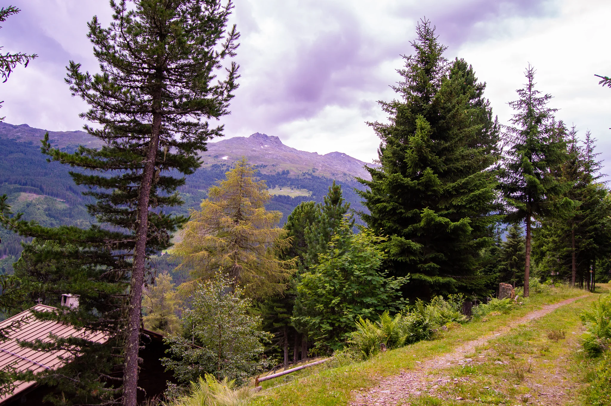 DSC_0474.jpg