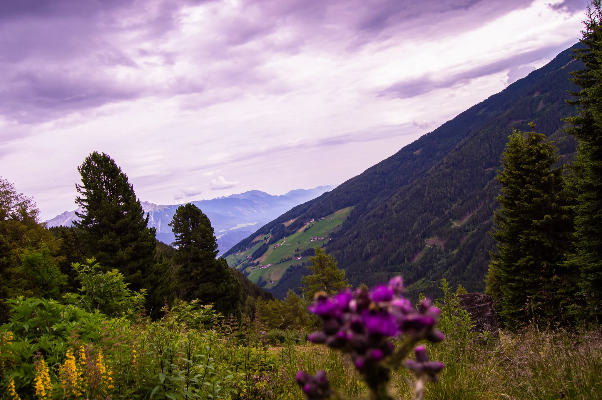 DSC_0477.jpg