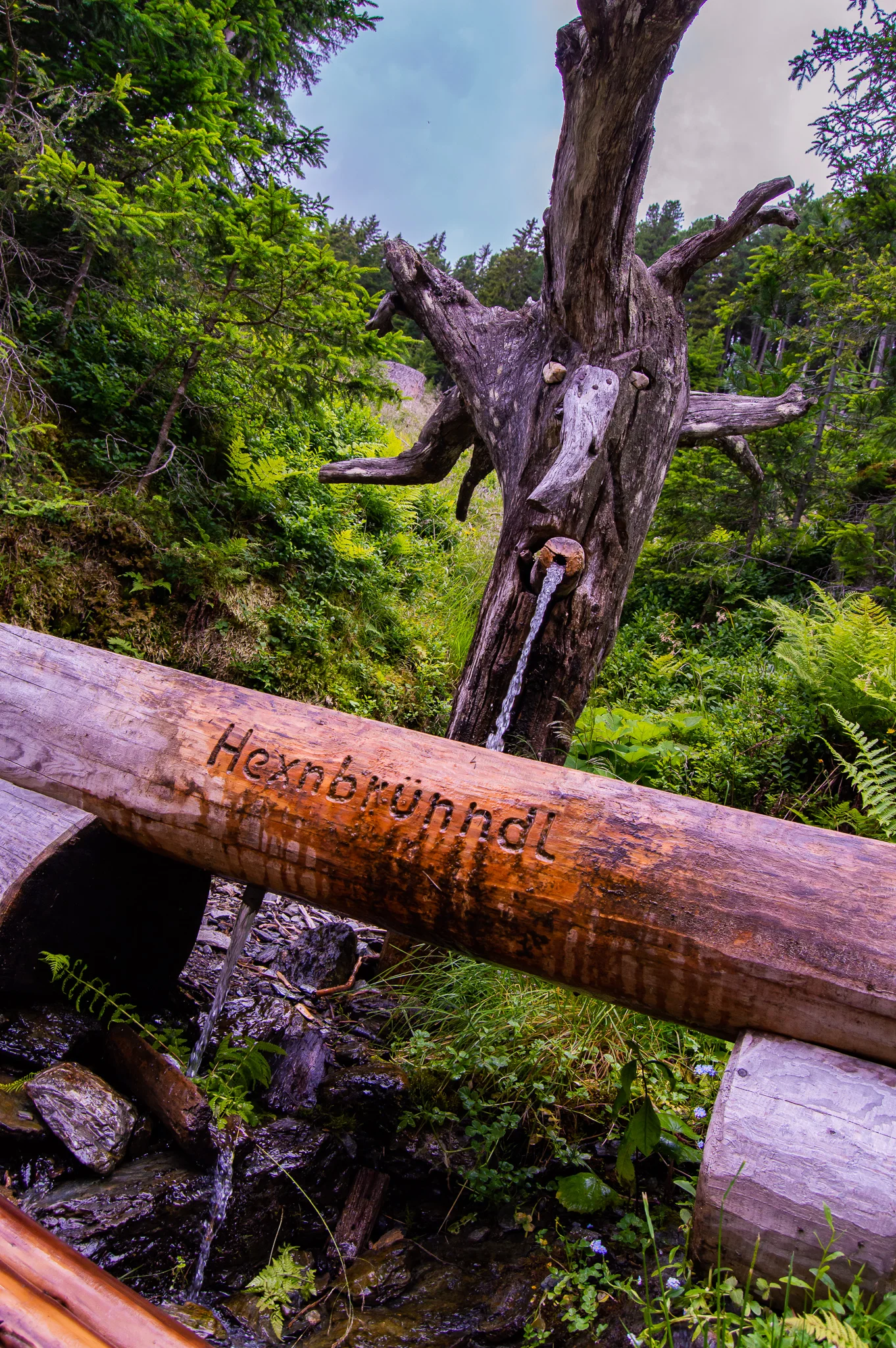 DSC_0480.jpg