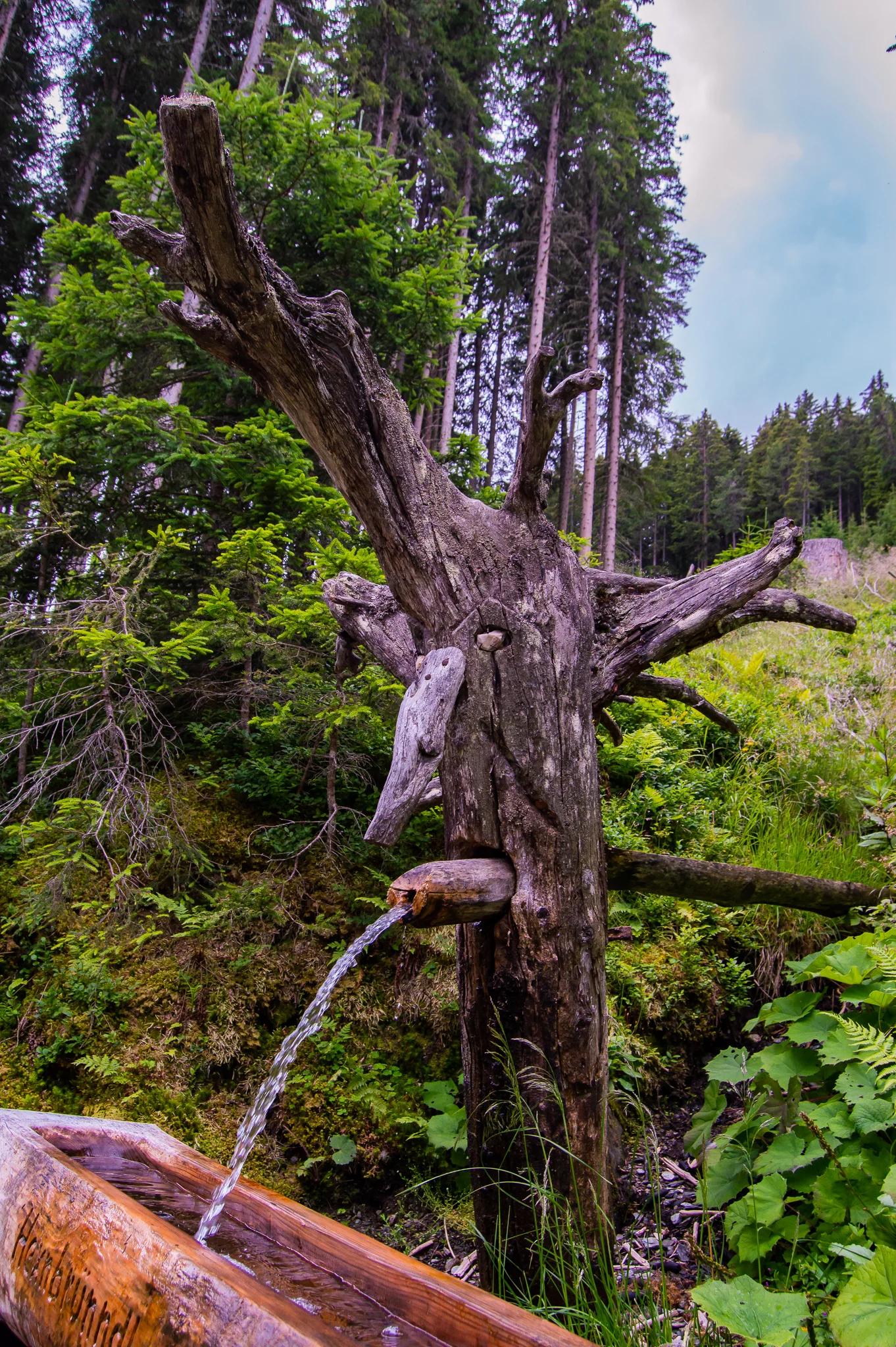 DSC_0481.jpg