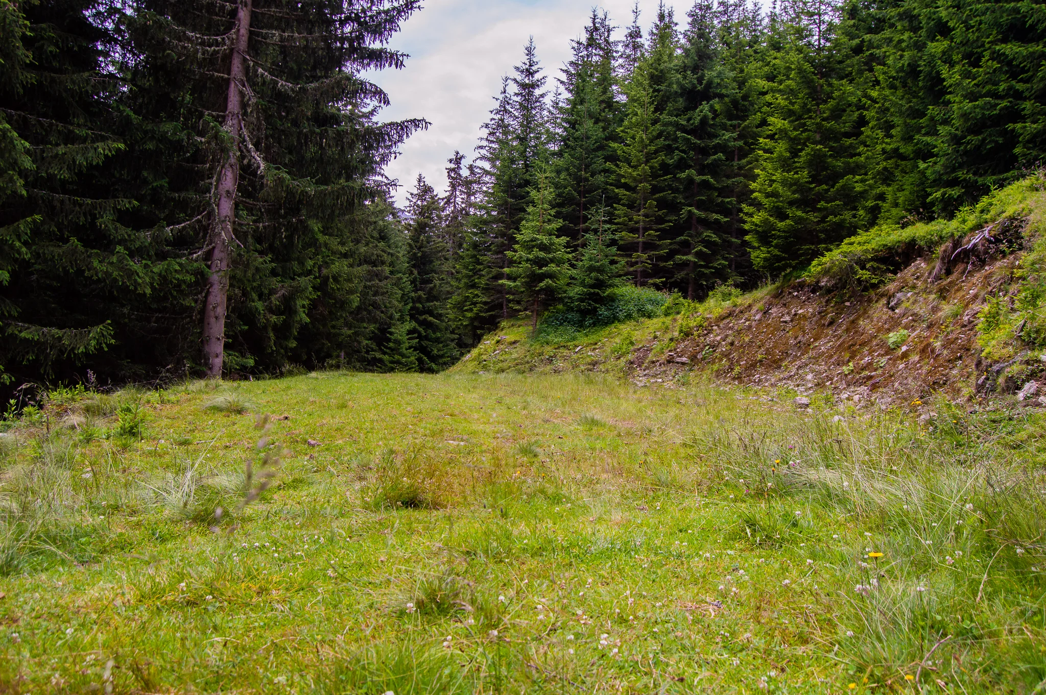 DSC_0482.jpg