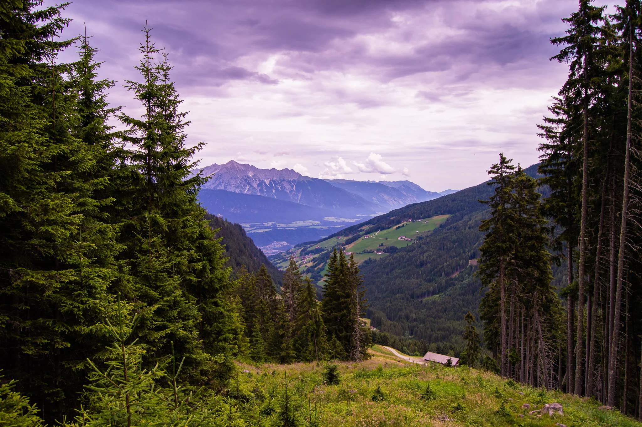 DSC_0485.jpg