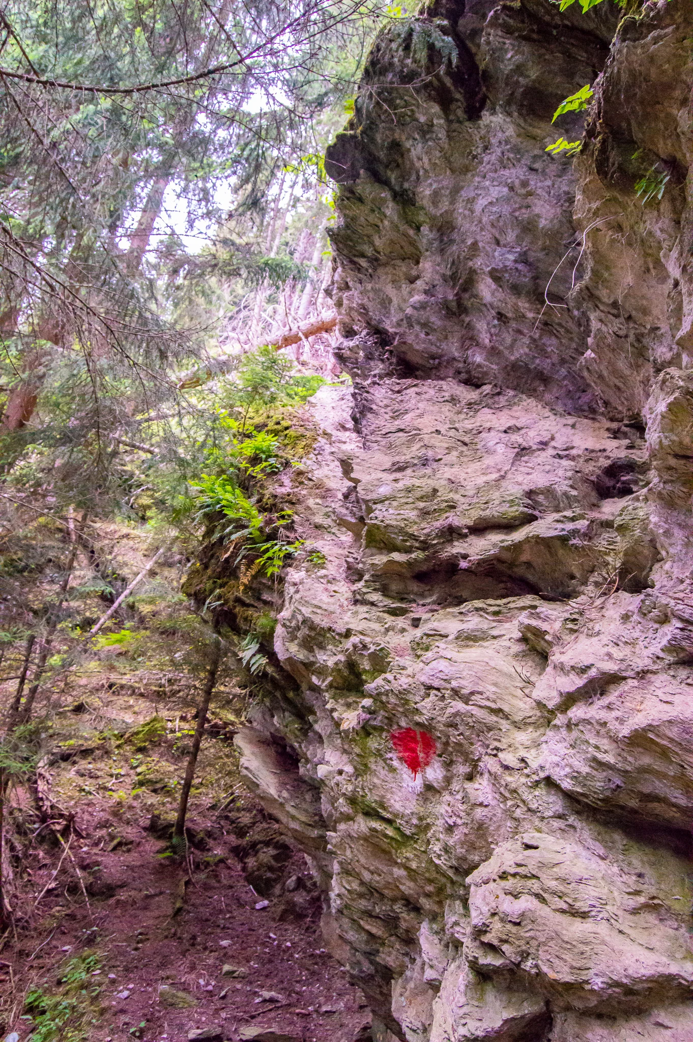 DSC_0489.jpg
