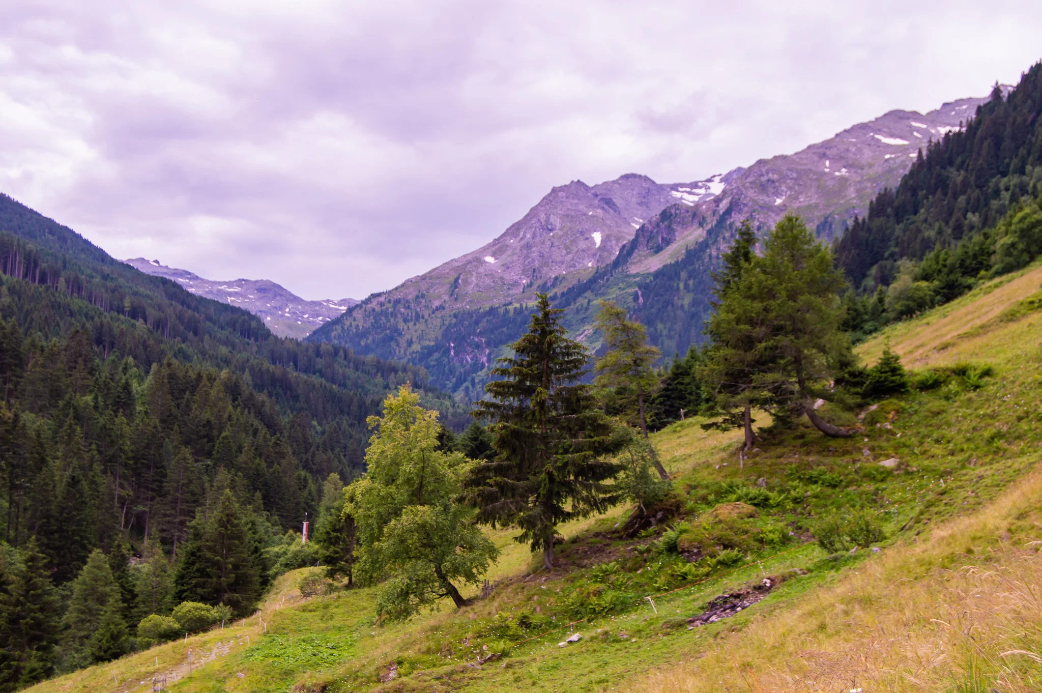 DSC_0497.jpg