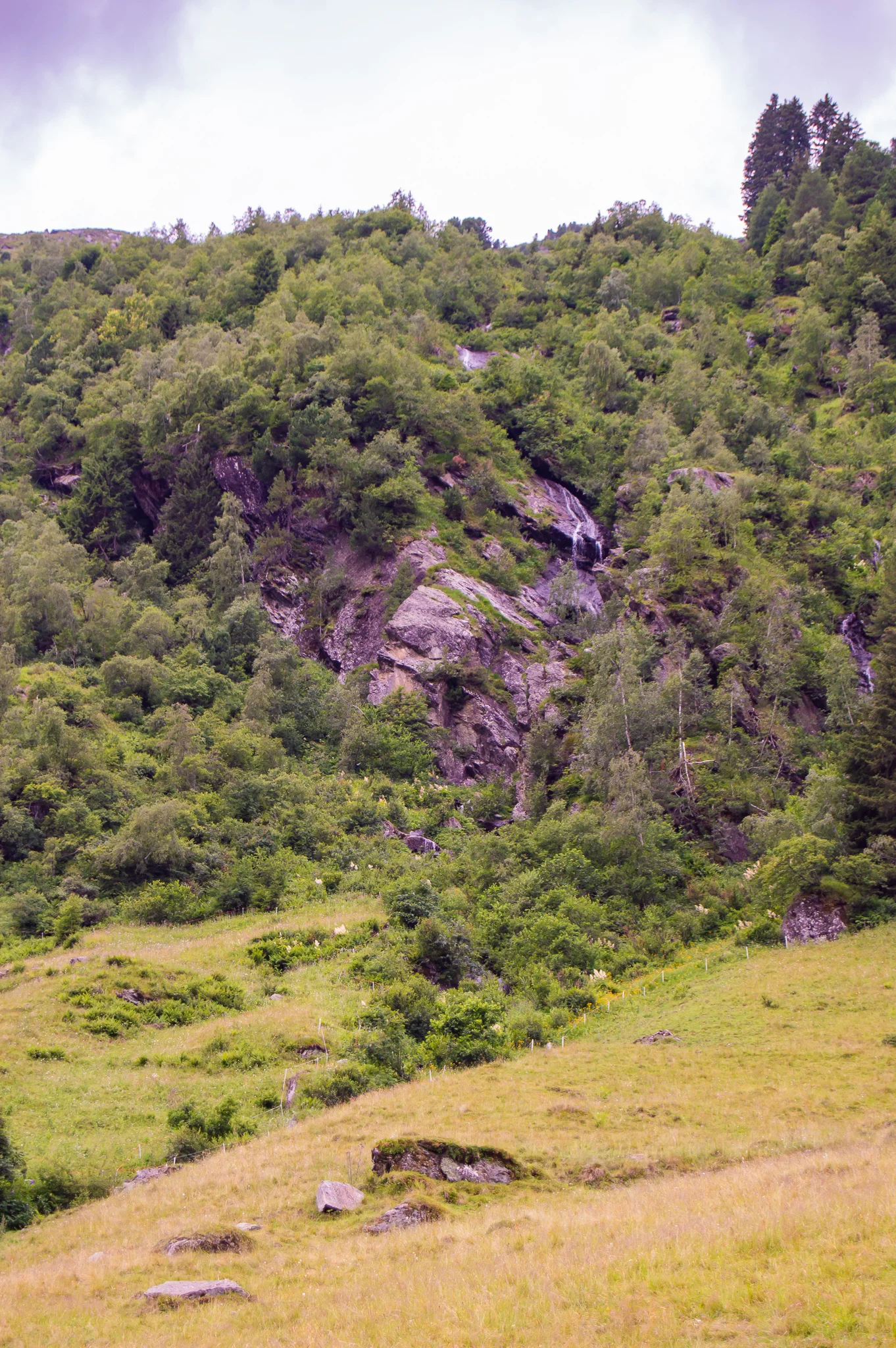 DSC_0496.jpg