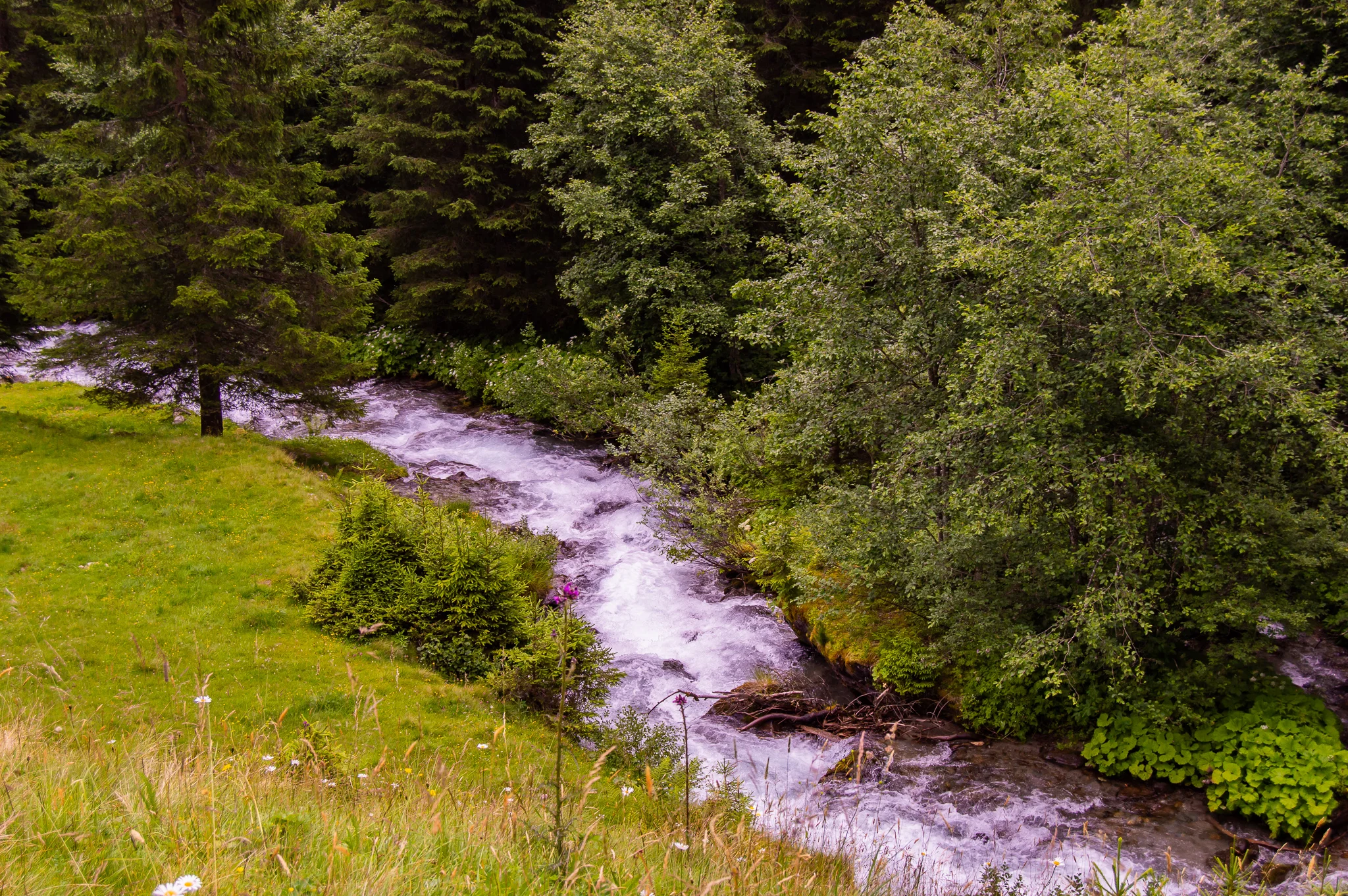 DSC_0499.jpg