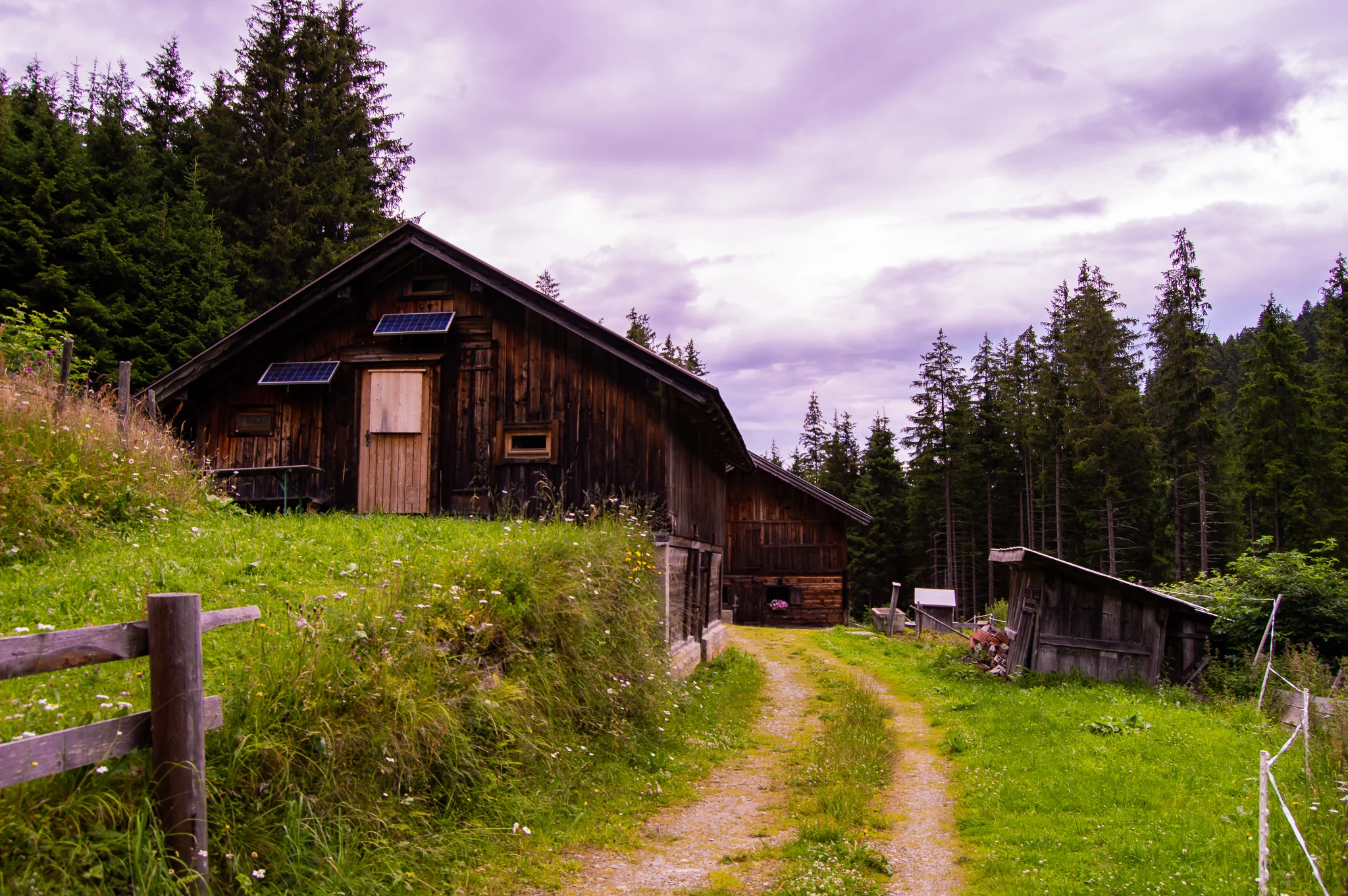 DSC_0502.jpg