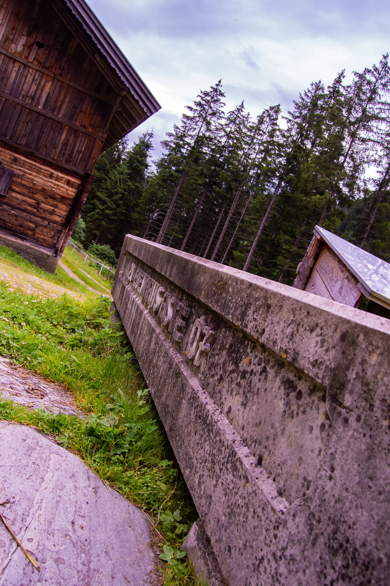 DSC_0505.jpg