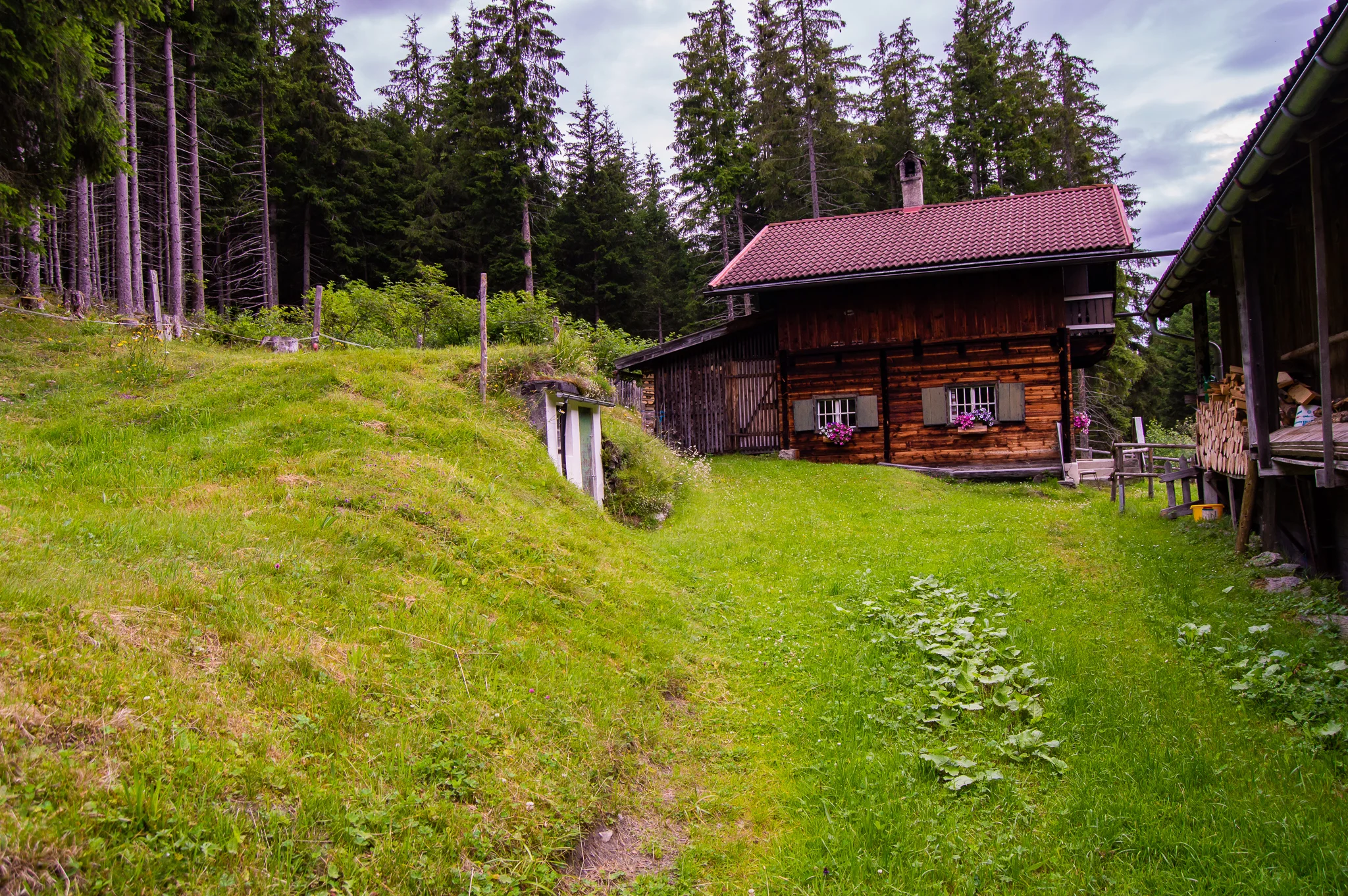 DSC_0509.jpg