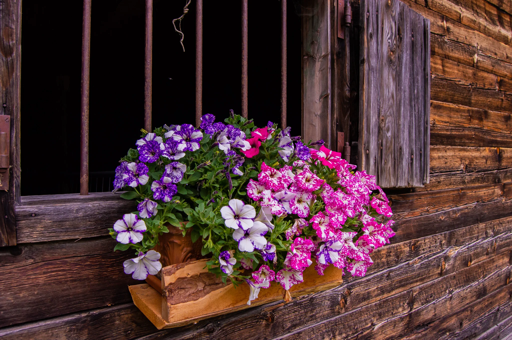 DSC_0512.jpg