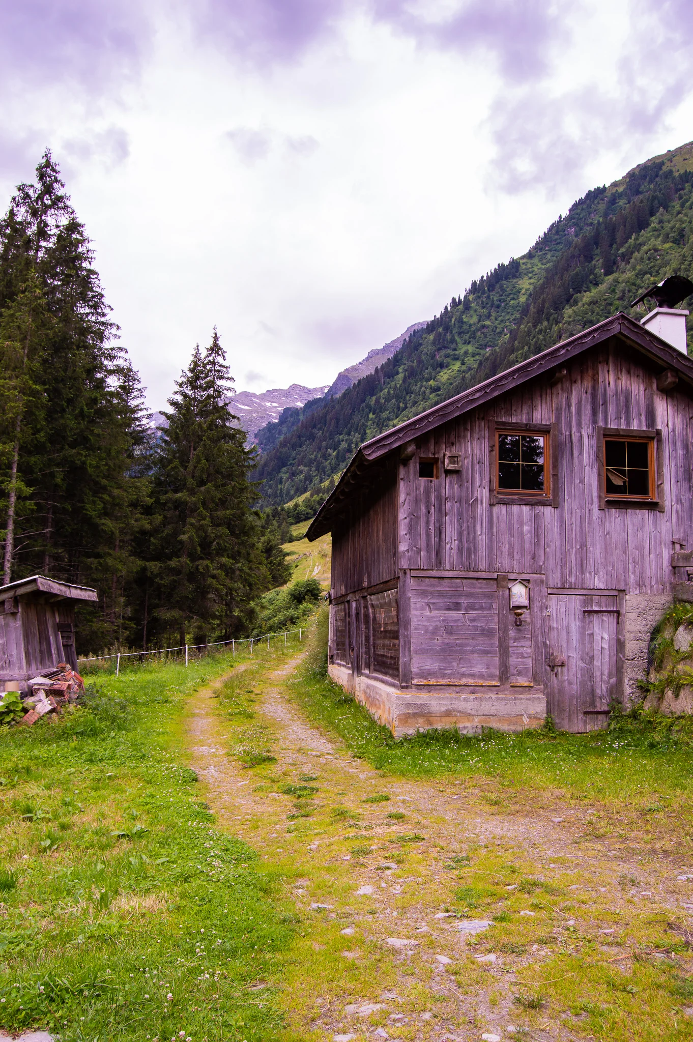 DSC_0513.jpg