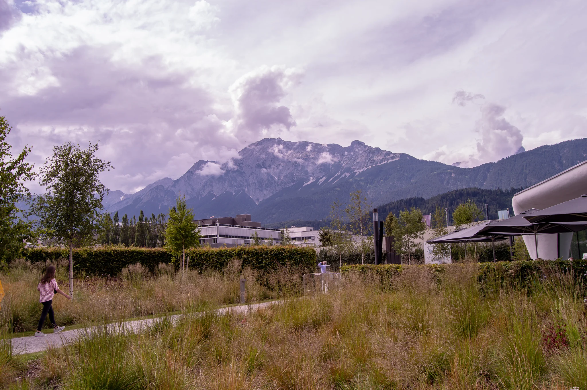 DSC_0593.jpg