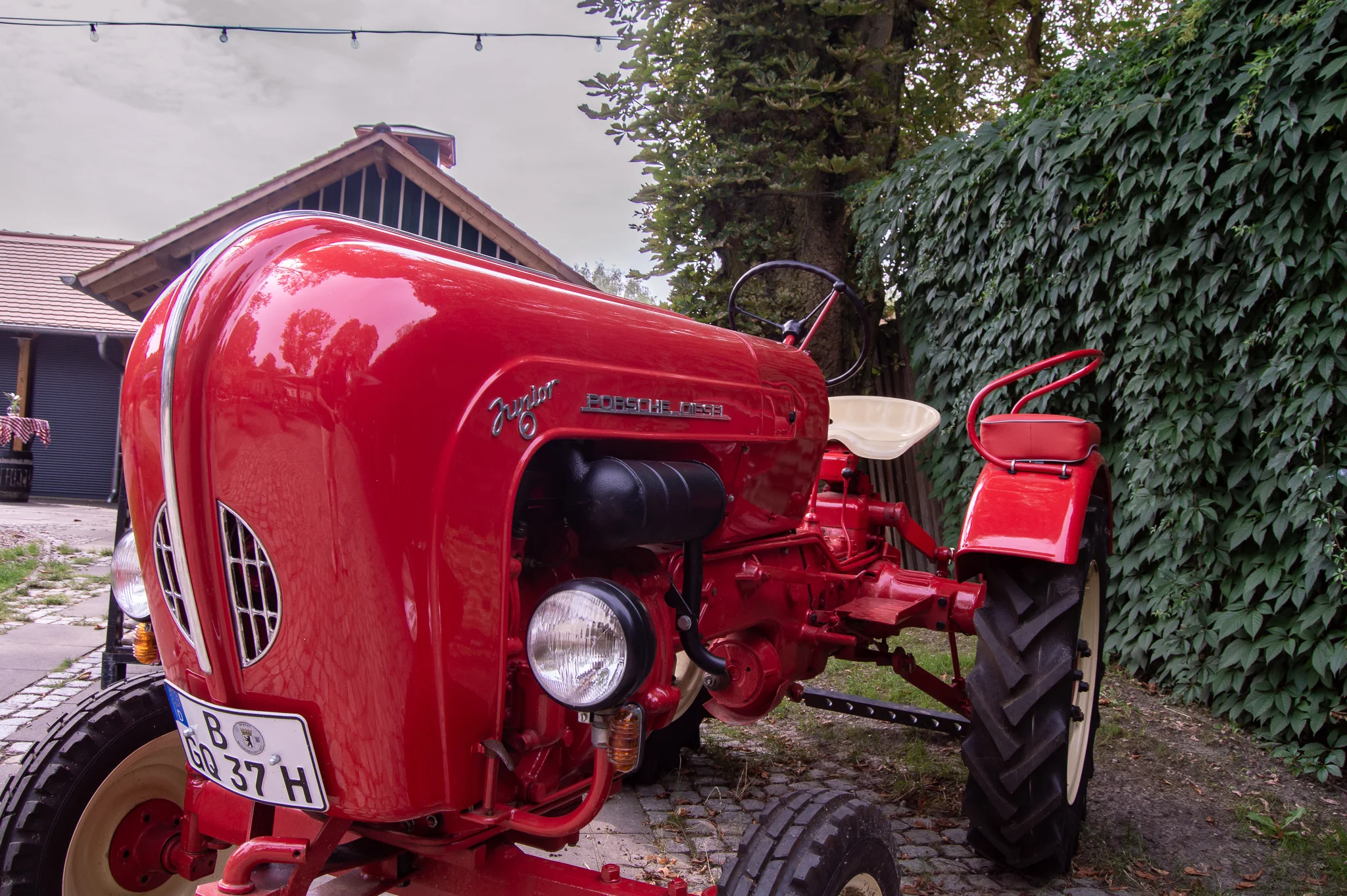 DSC_0706.jpg
