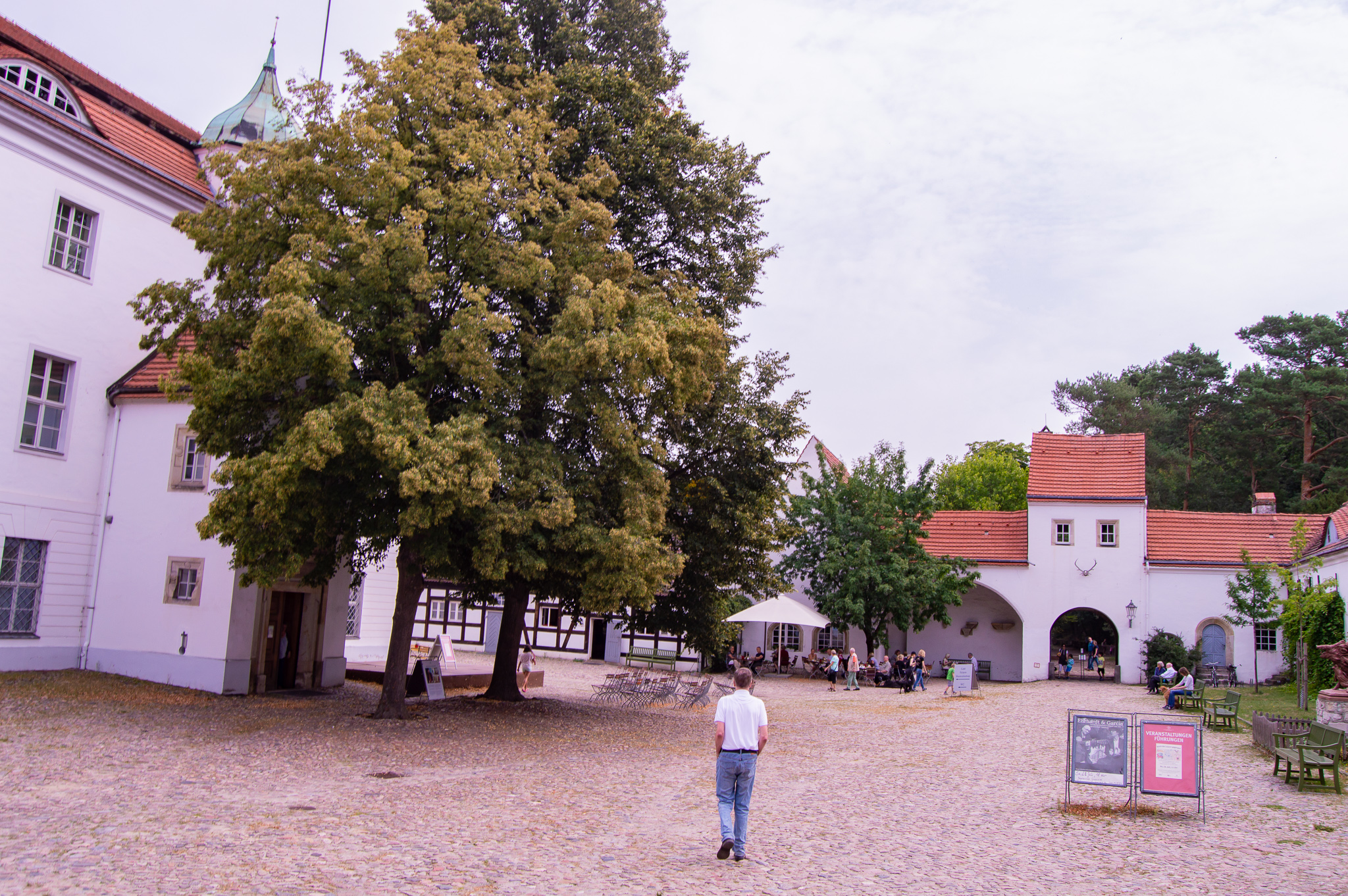 DSC_0675.jpg
