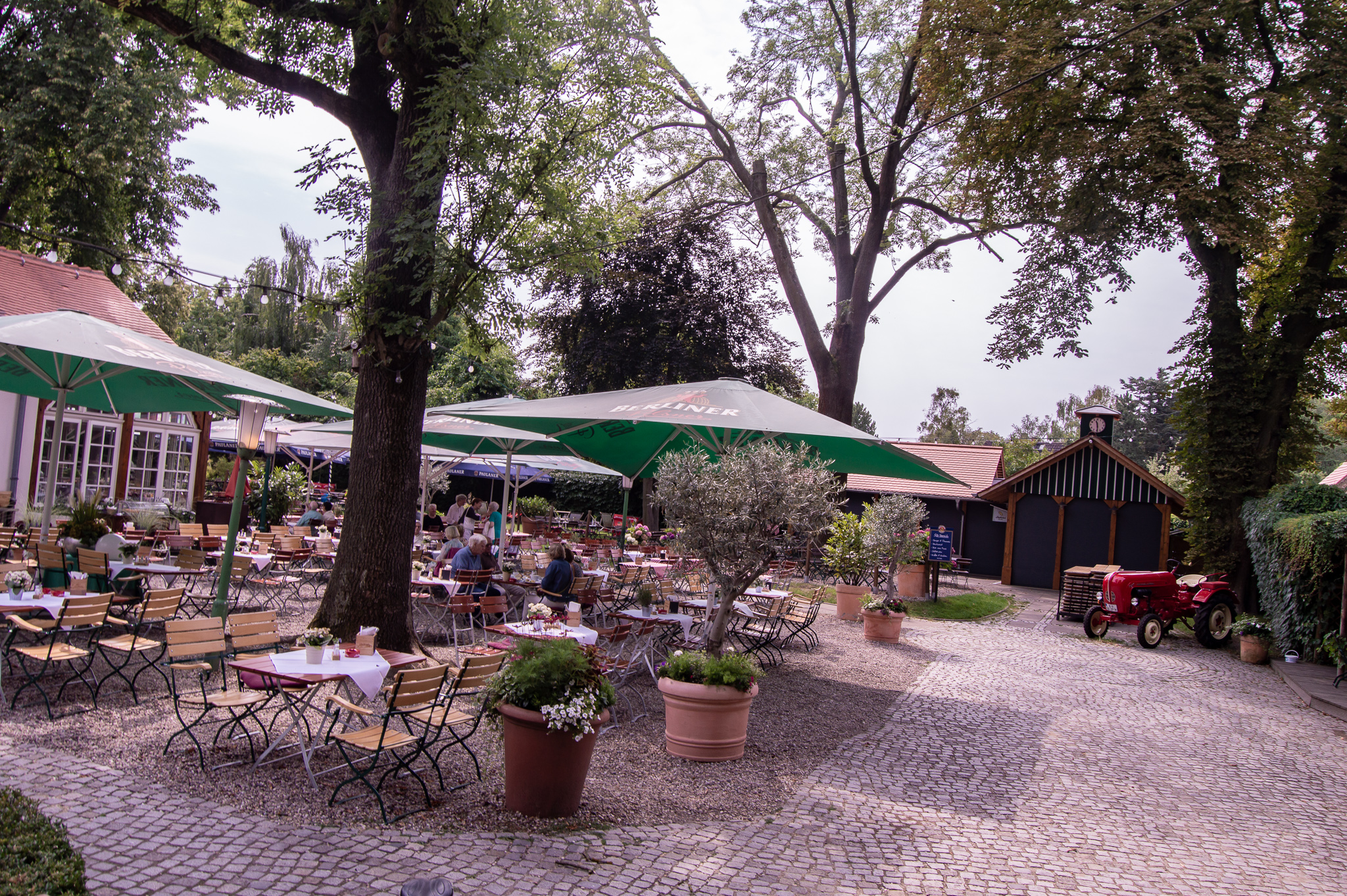 DSC_0703.jpg