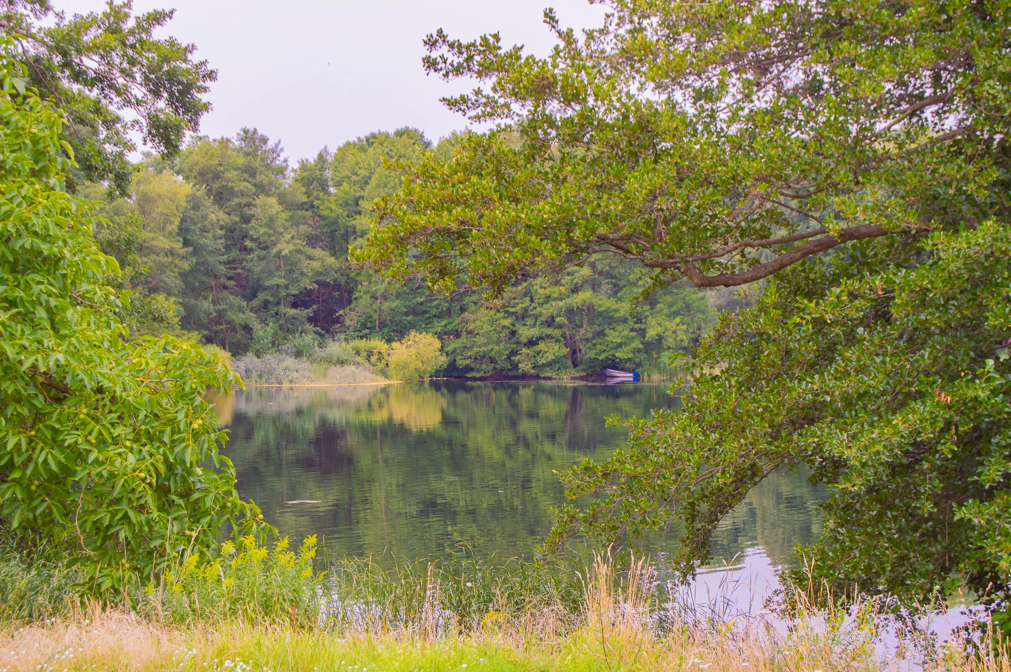 DSC_0678.jpg