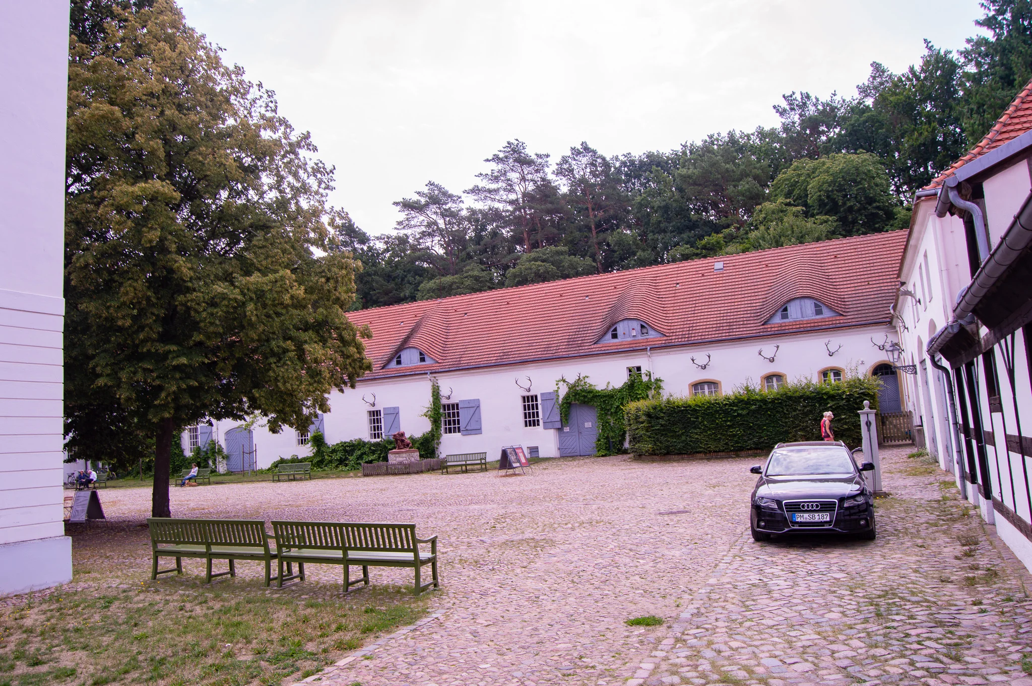 DSC_0682.jpg