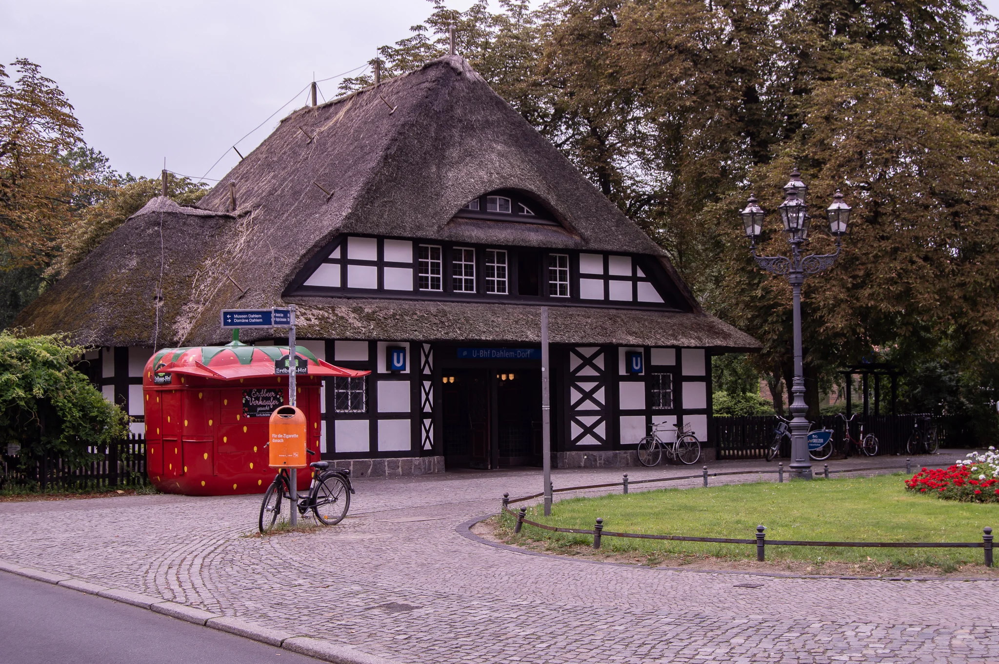 DSC_0715.jpg