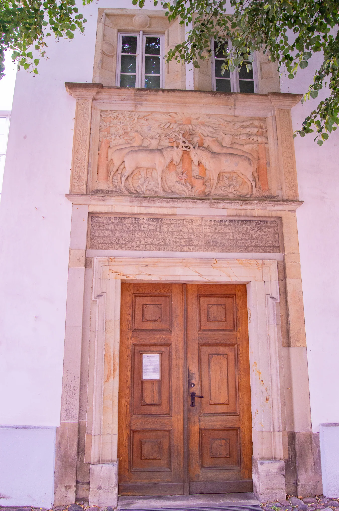 DSC_0684.jpg
