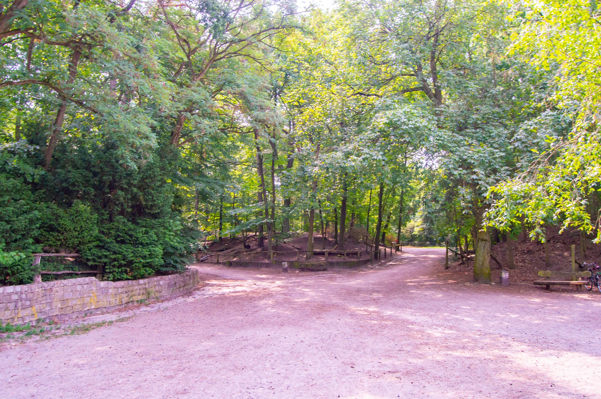 DSC_0685.jpg