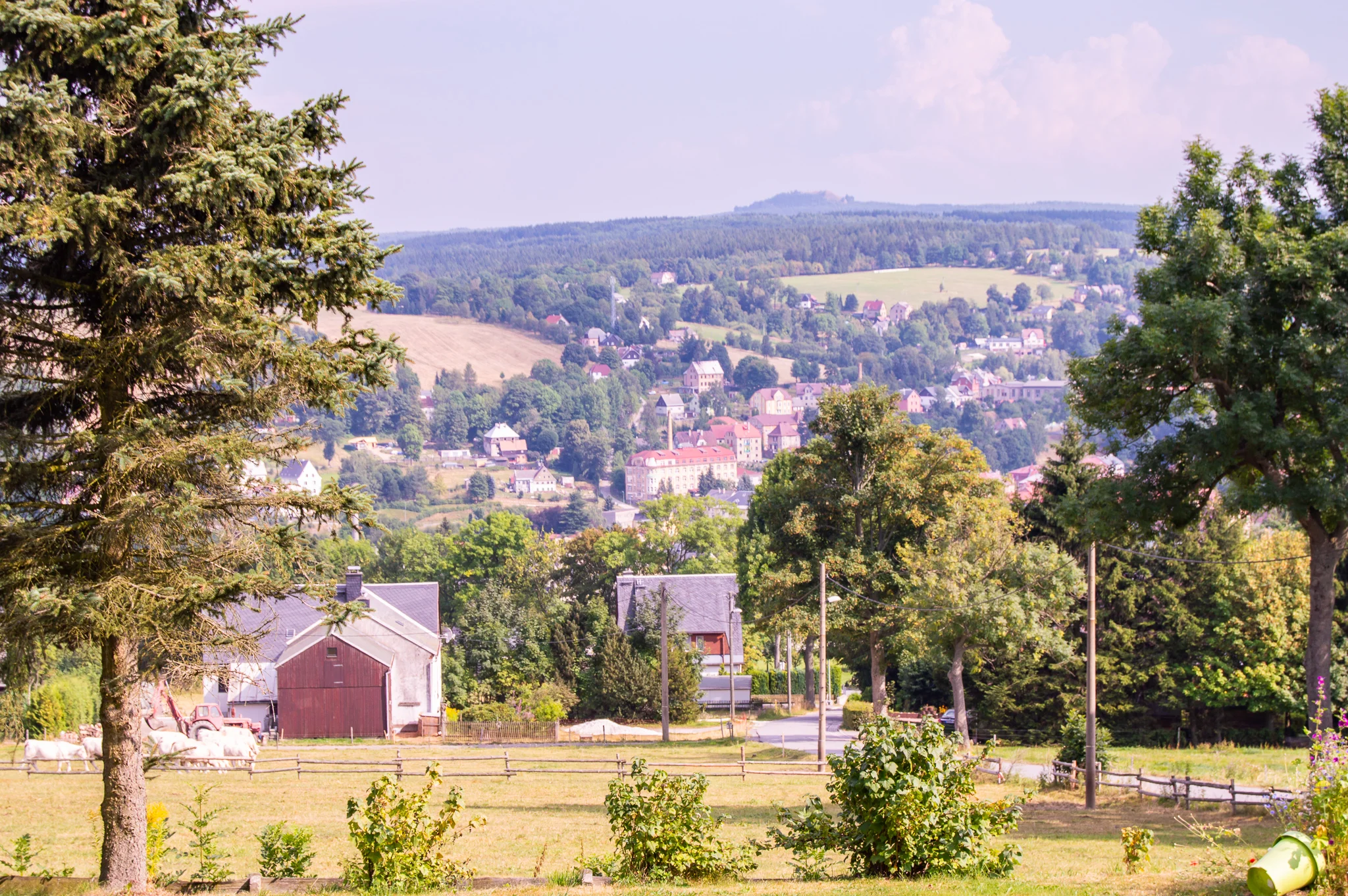 DSC_0009.jpg