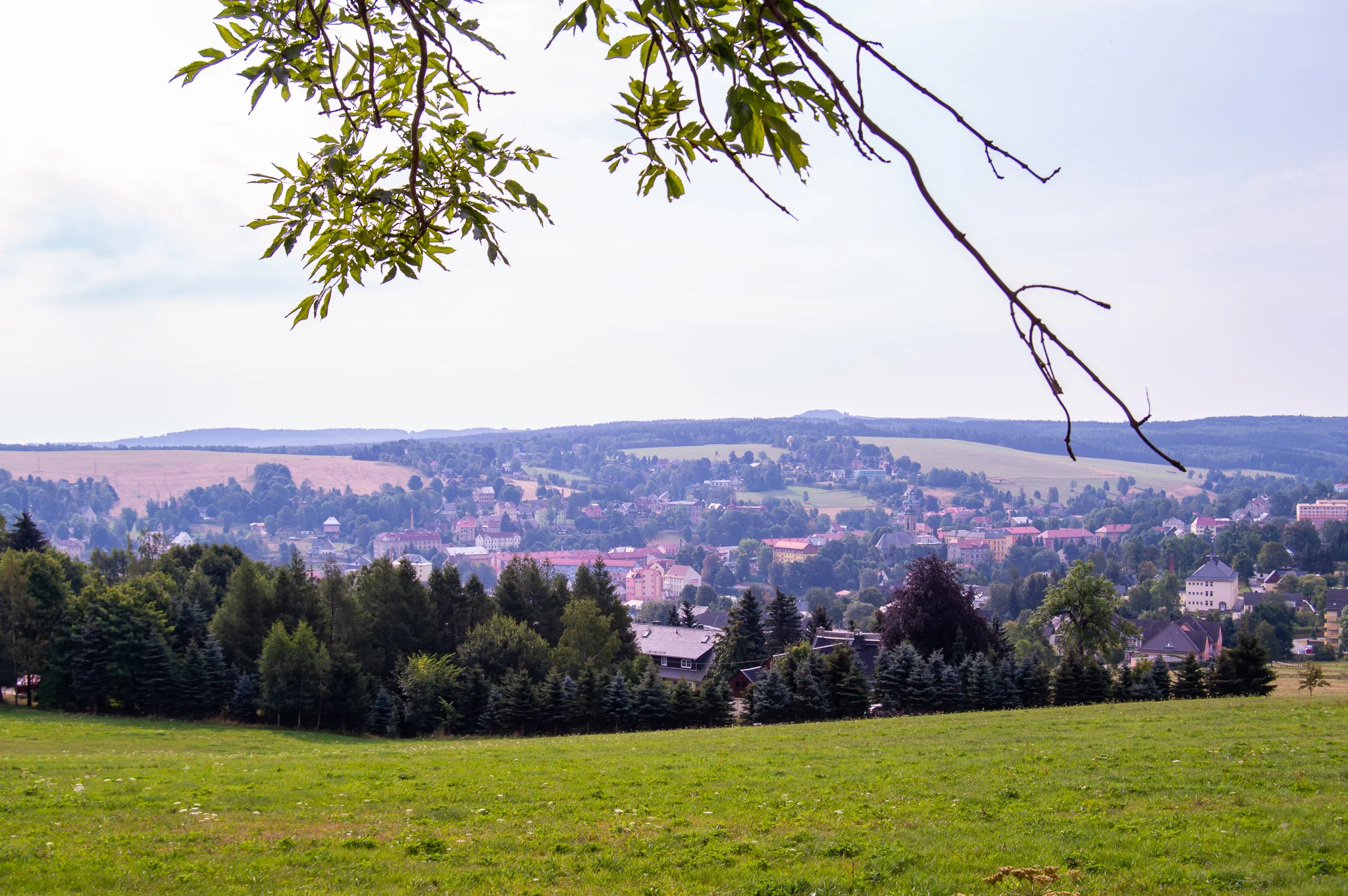 DSC_0052.jpg