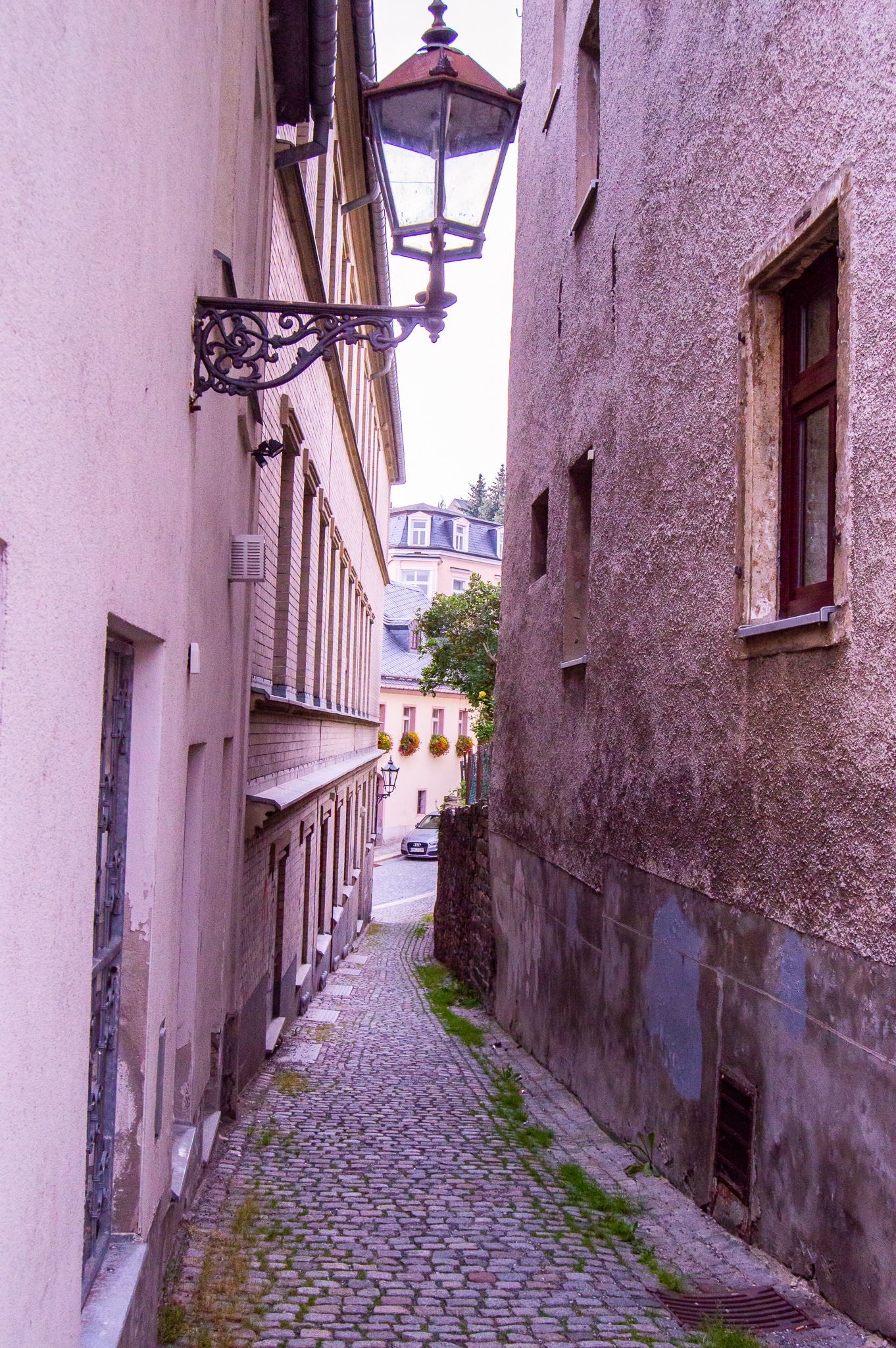 DSC_0119.jpg