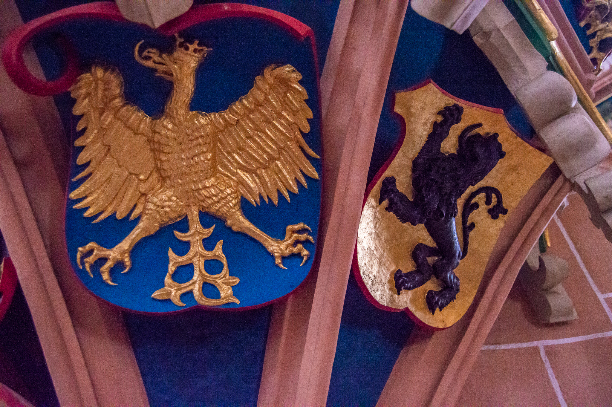 DSC_0081.jpg