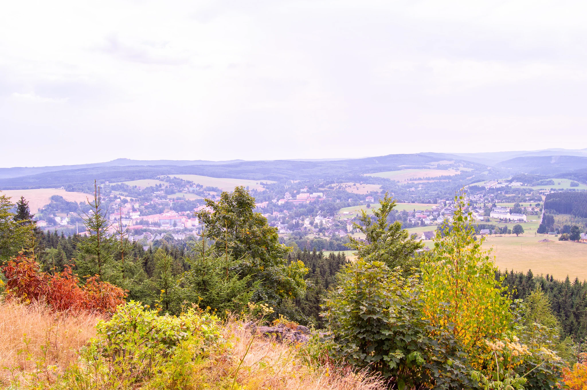 DSC_0126.jpg