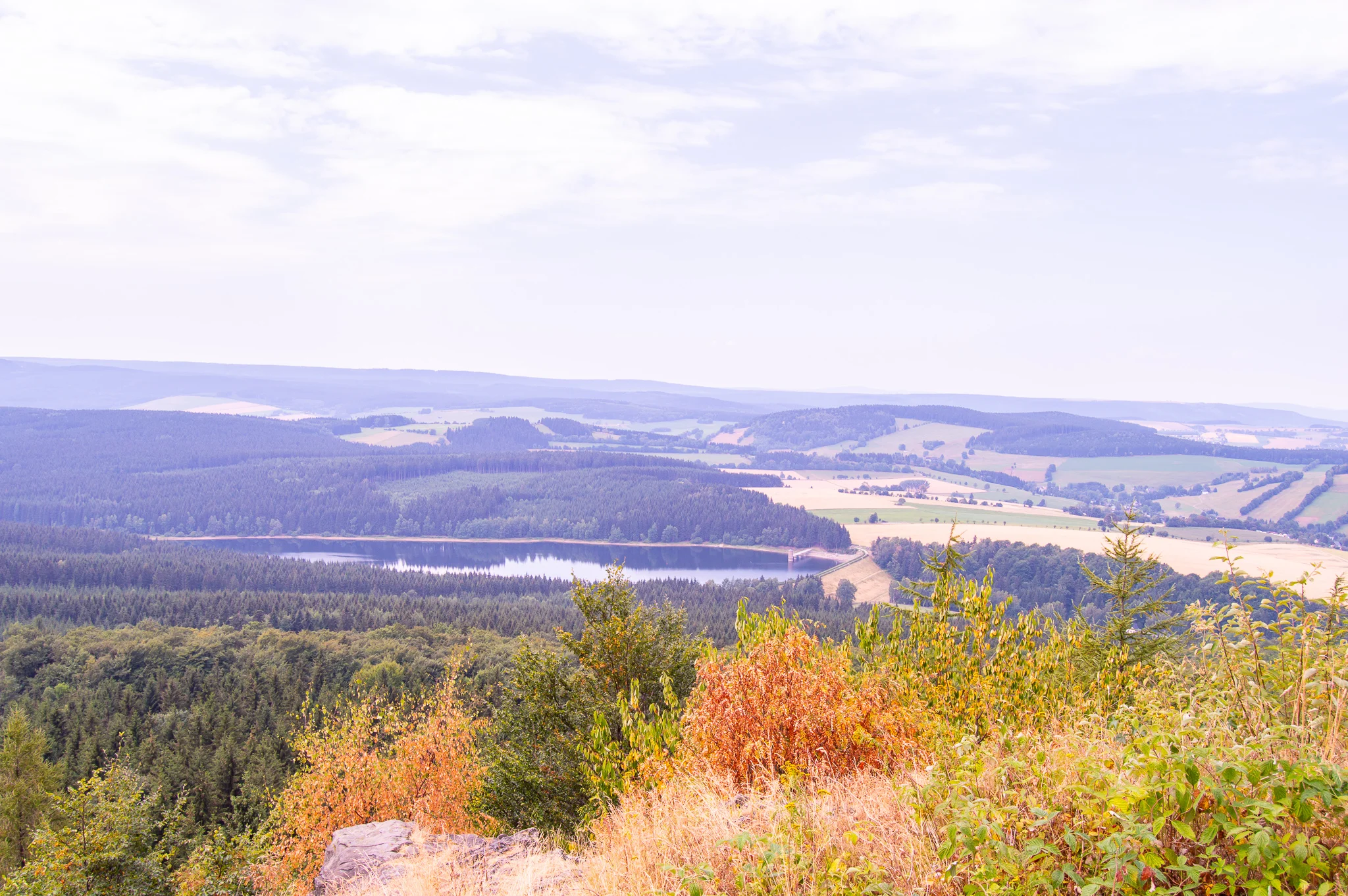 DSC_0127.jpg