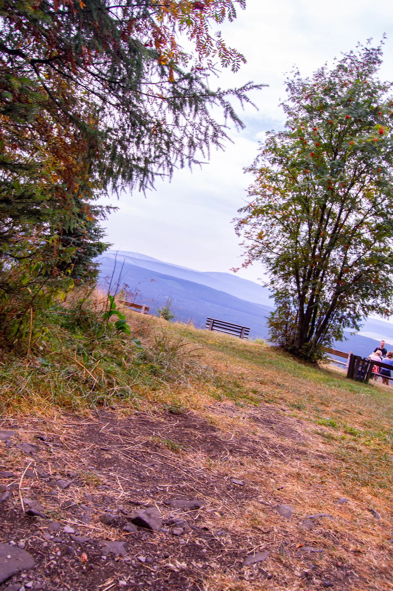 DSC_0132.jpg