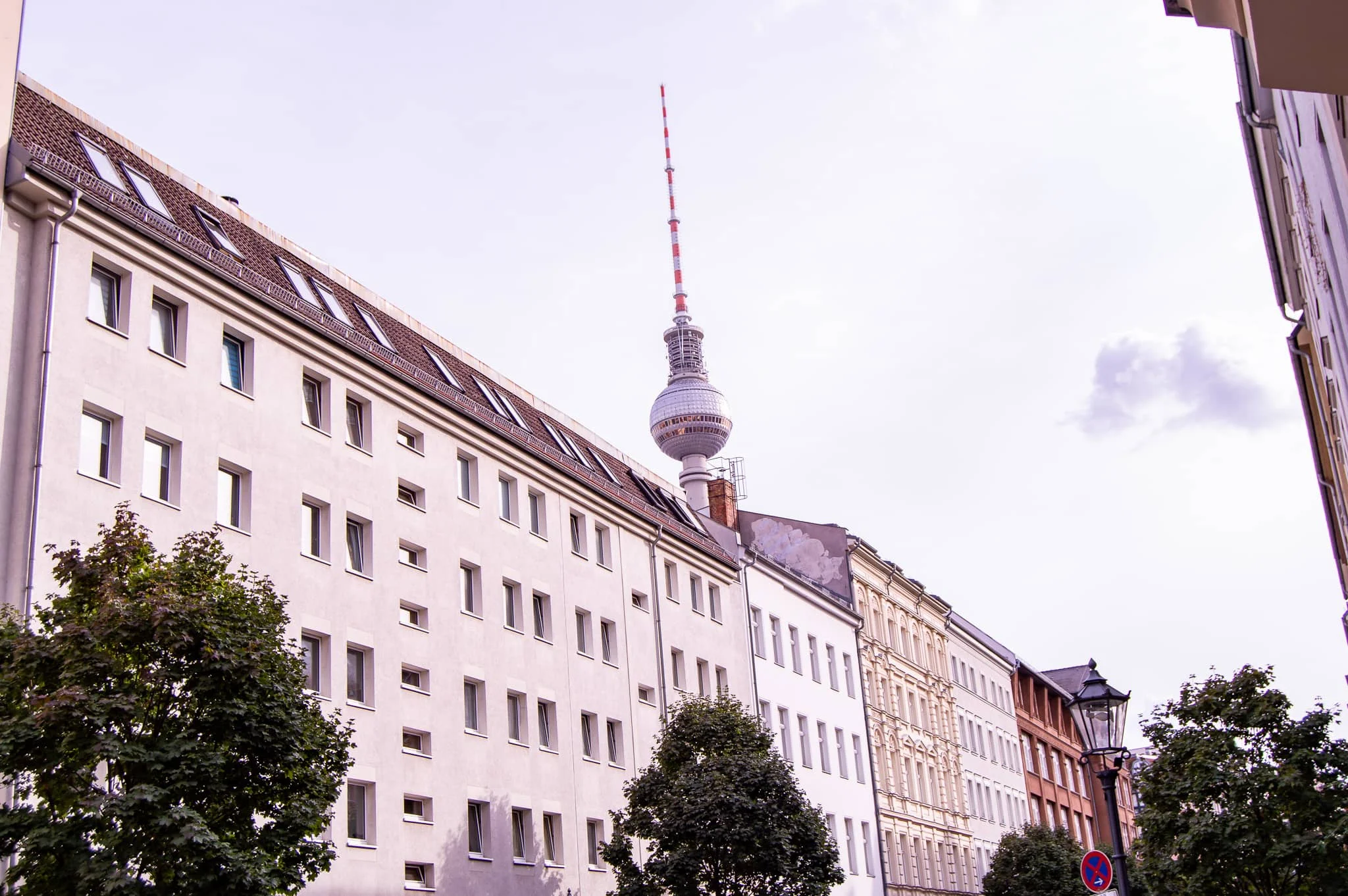 DSC_0814.jpg