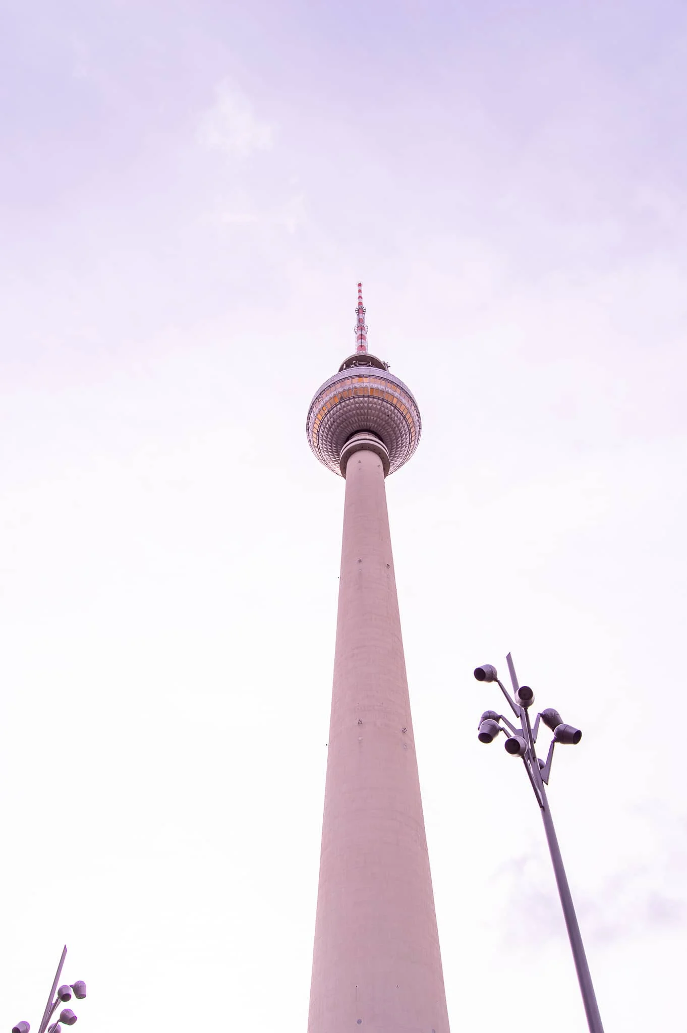 DSC_0816.jpg