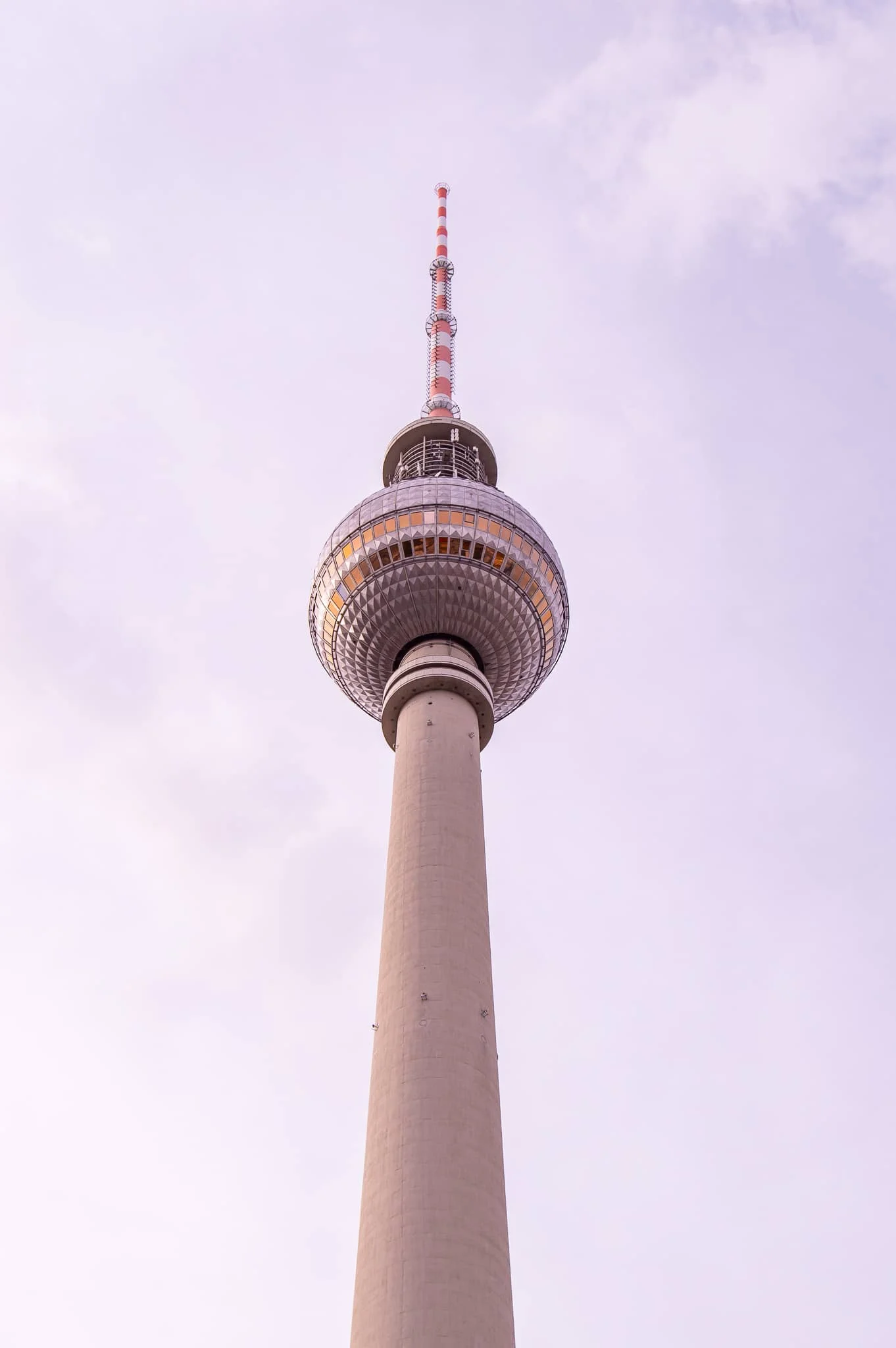 DSC_0818.jpg