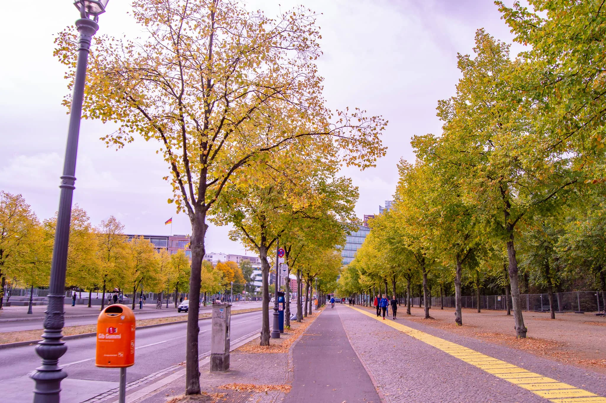 DSC_0932.jpg
