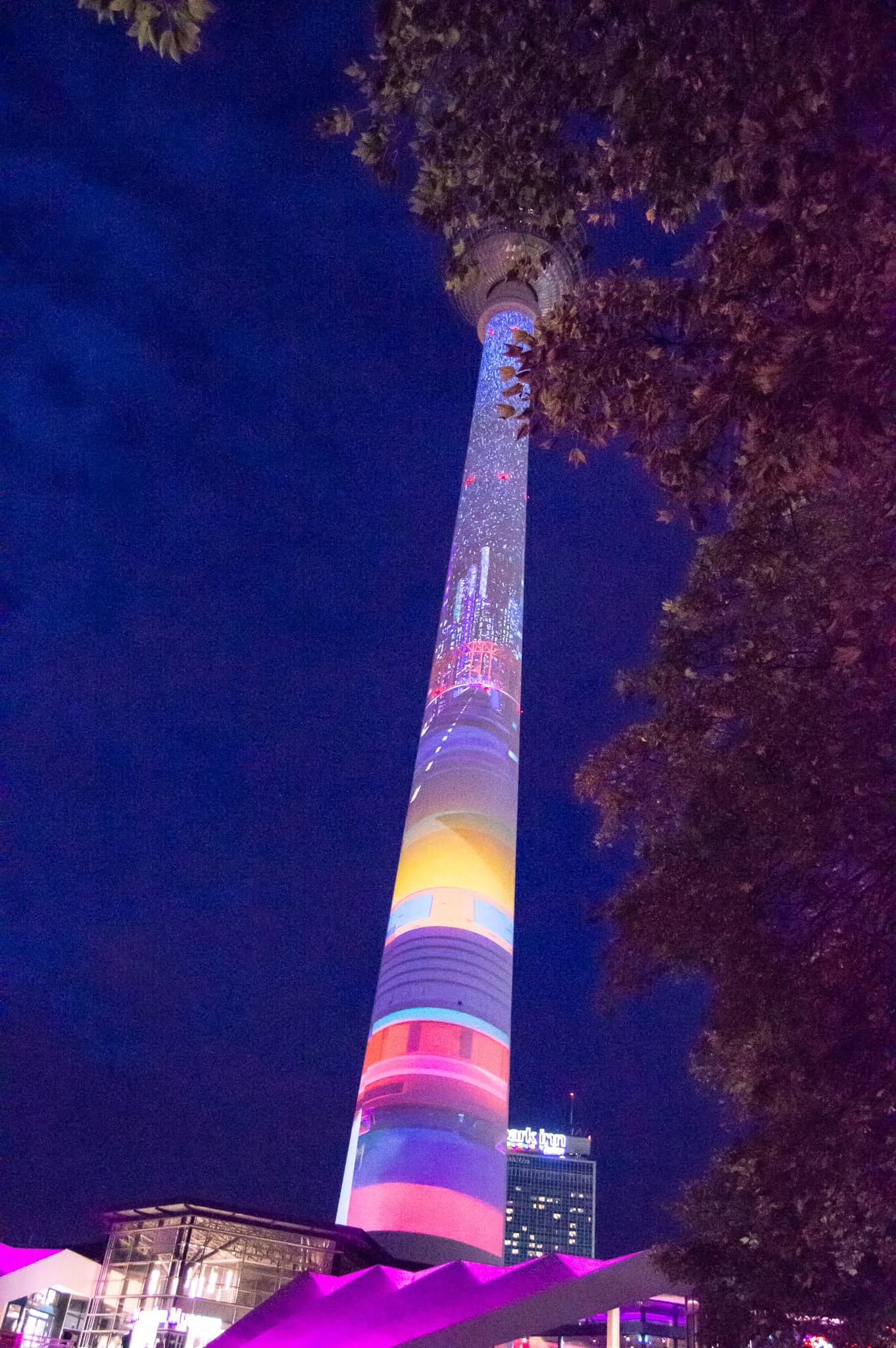 DSC_0171.jpg