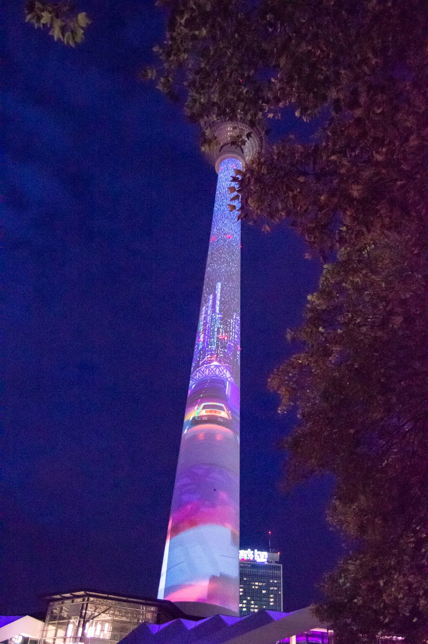DSC_0172.jpg