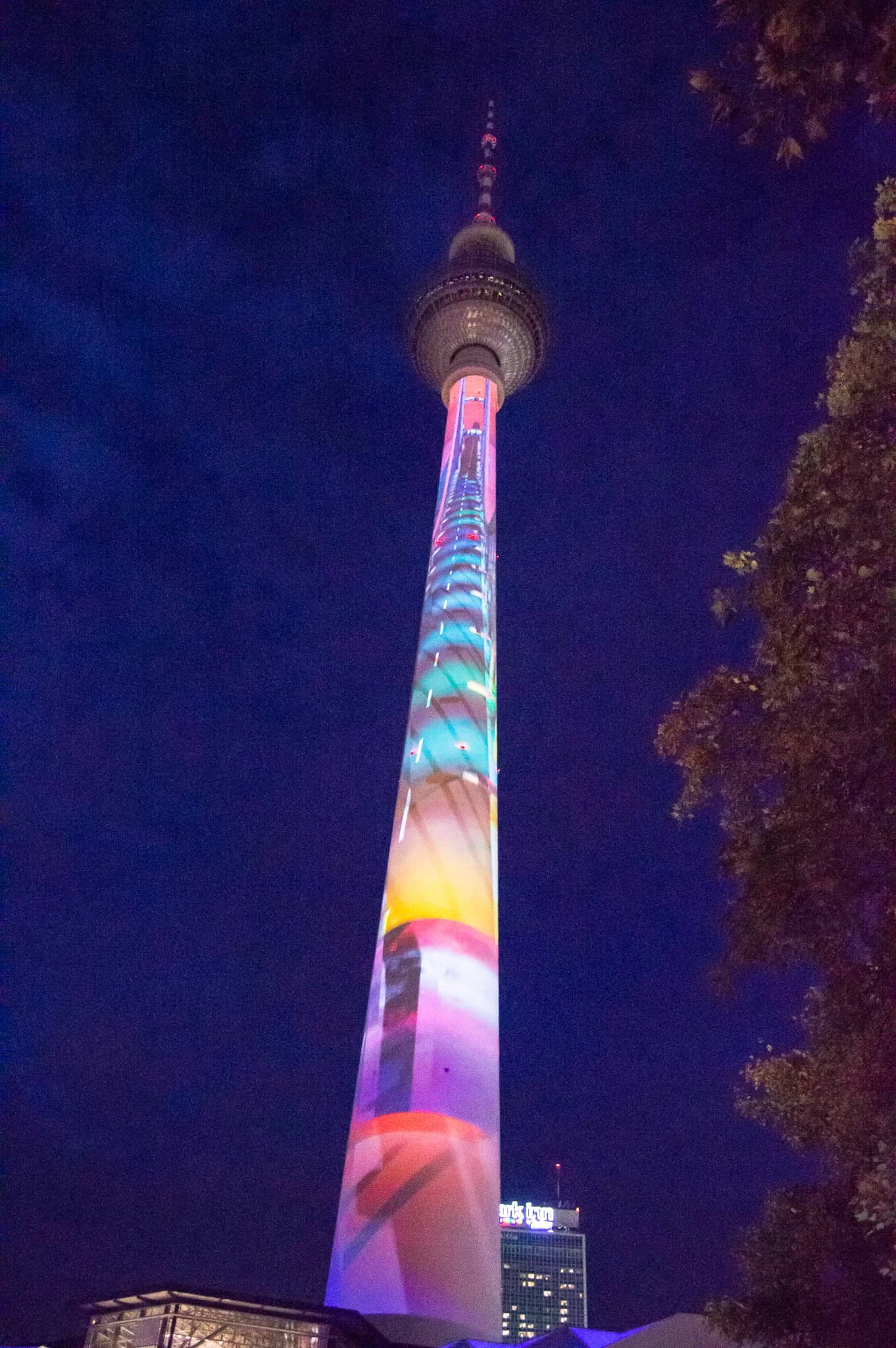 DSC_0173.jpg