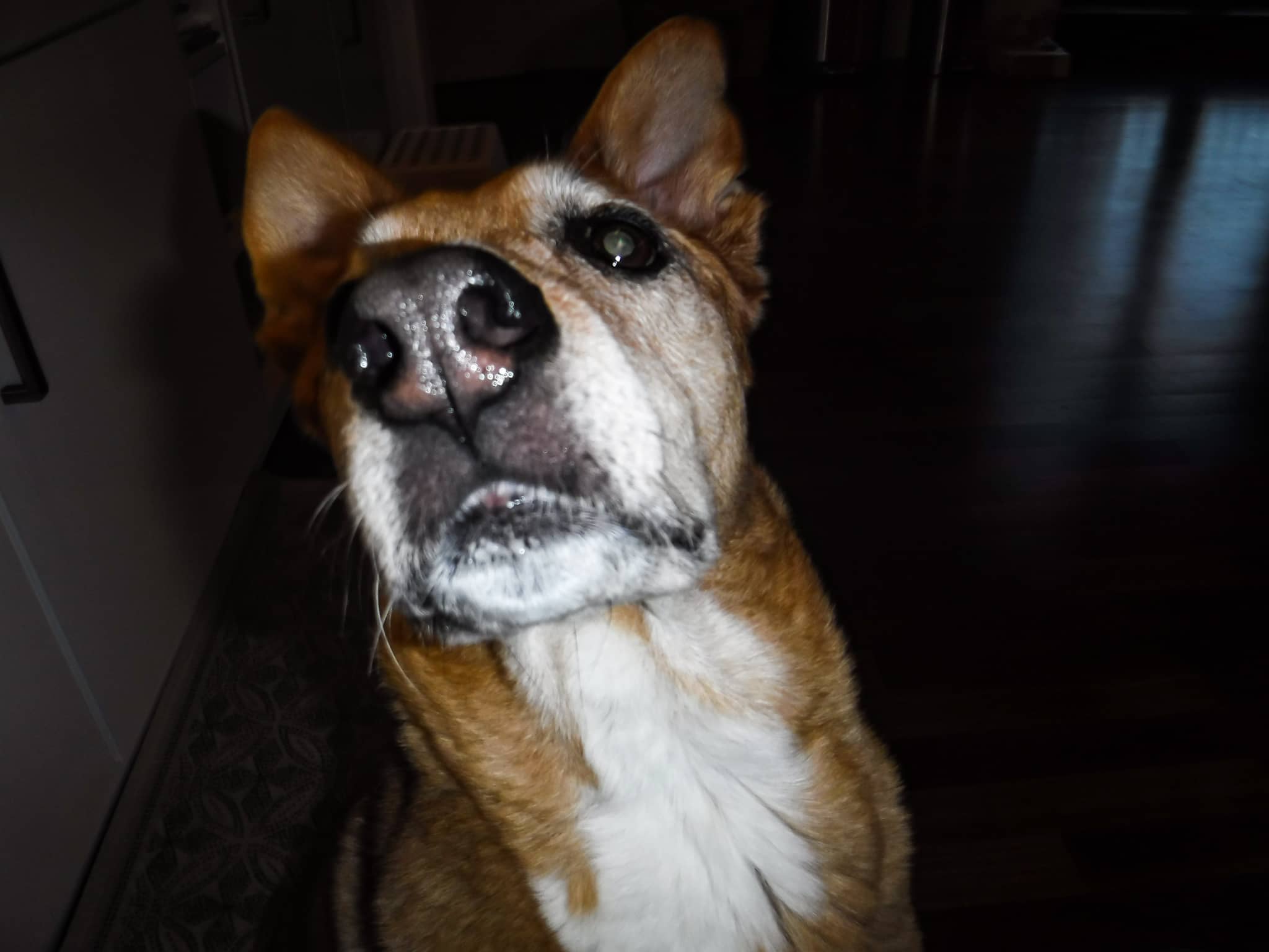 DSCF0012.jpg