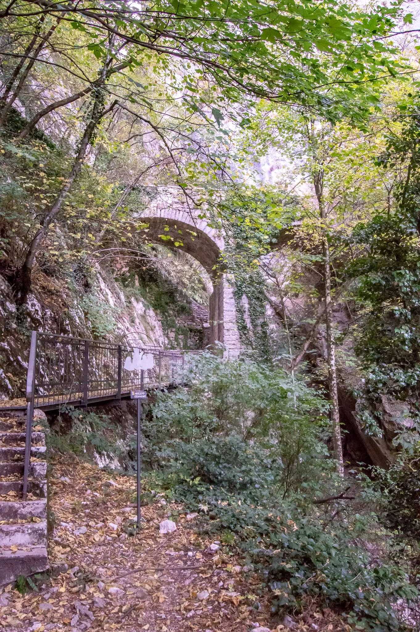 f57779712.jpg