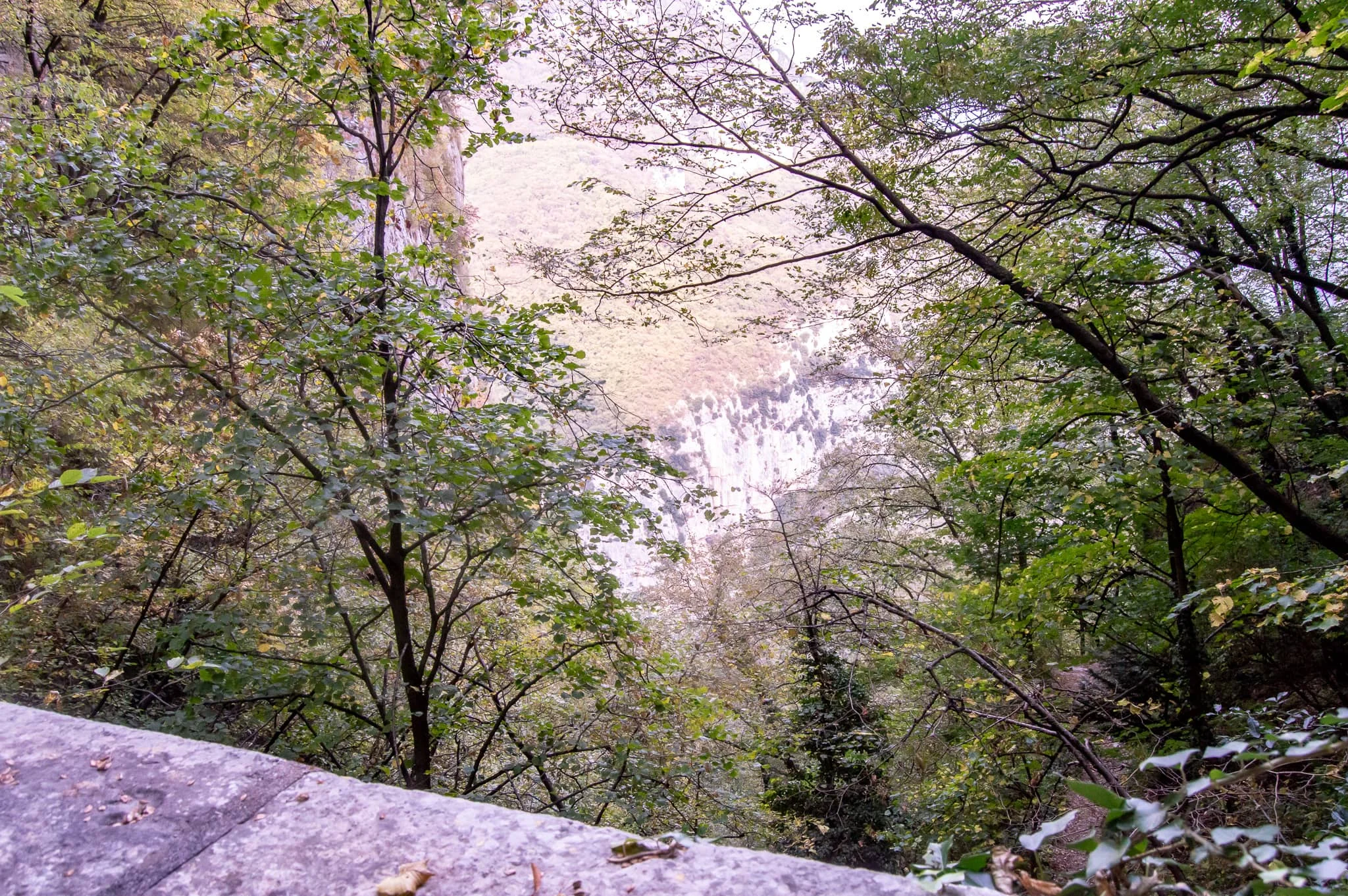 f57880448.jpg