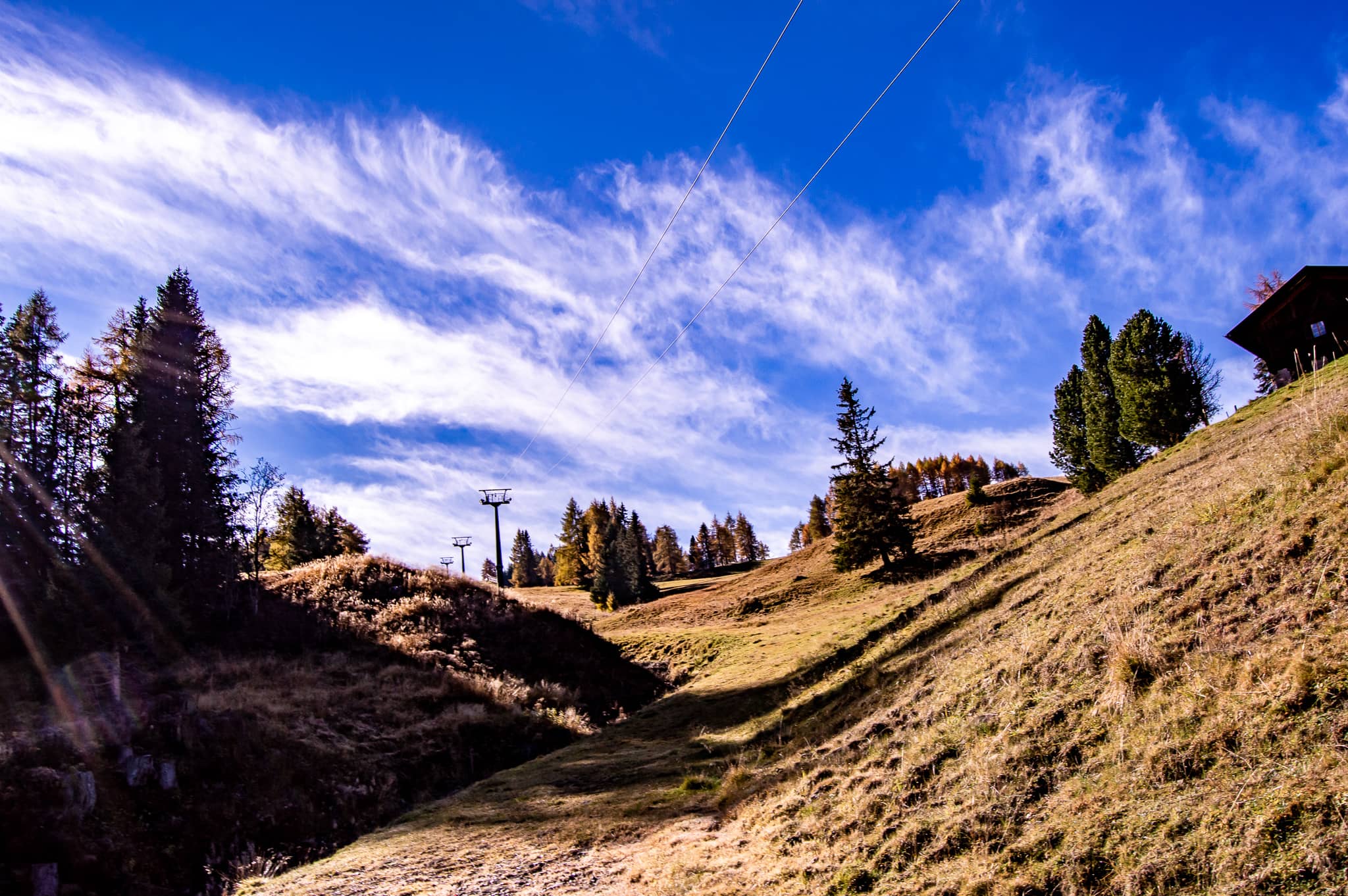 DSC_0102.jpg