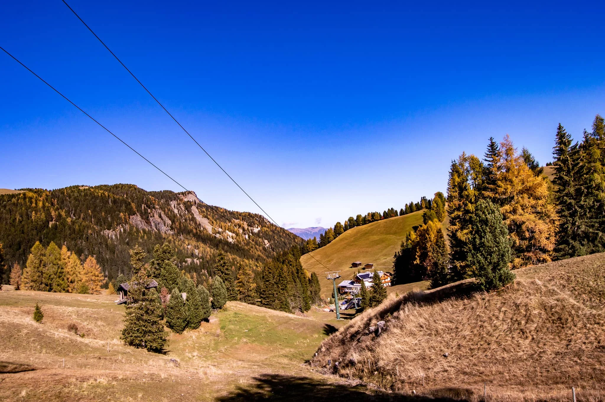 DSC_0104.jpg