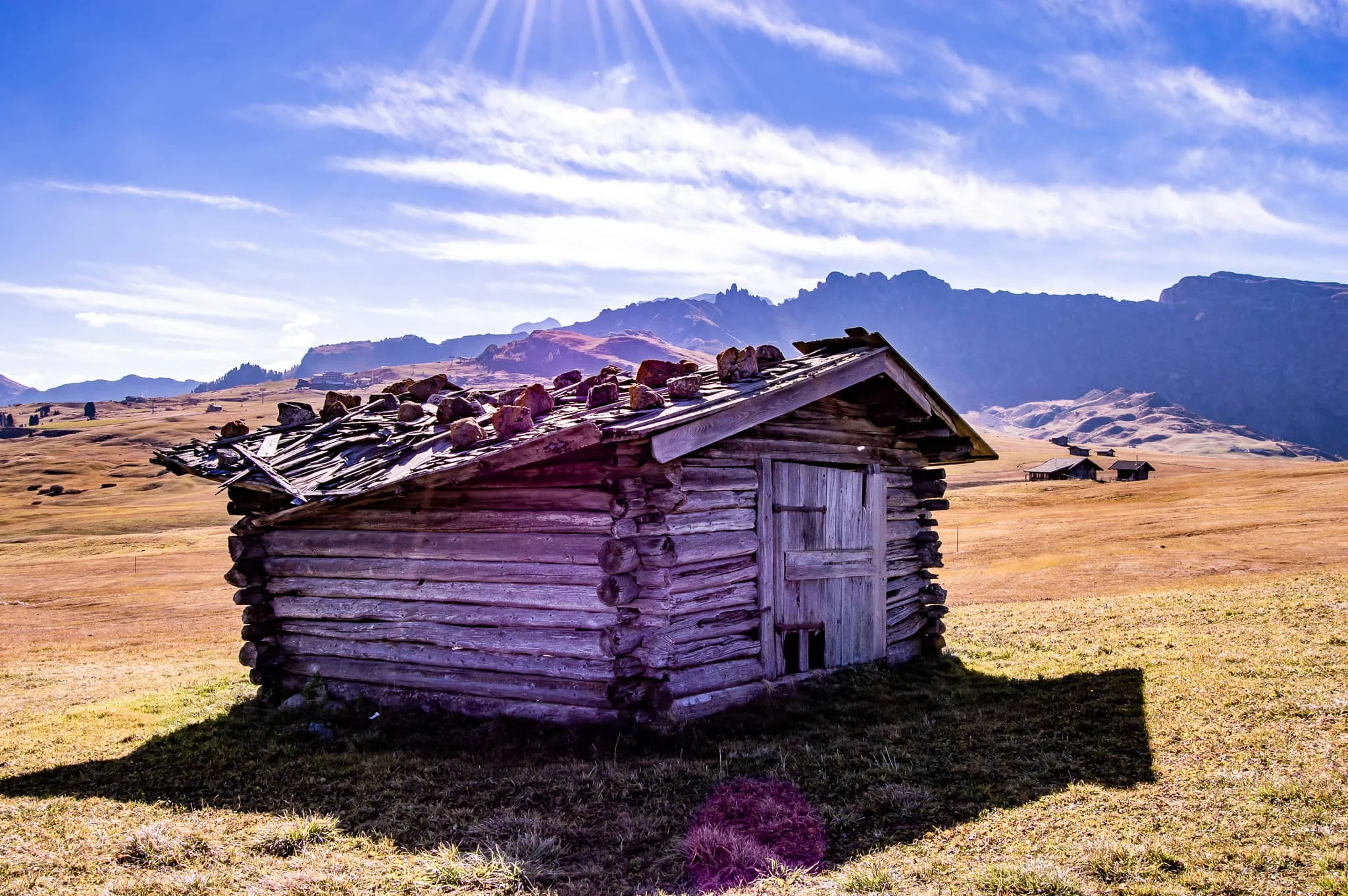 DSC_0109.jpg