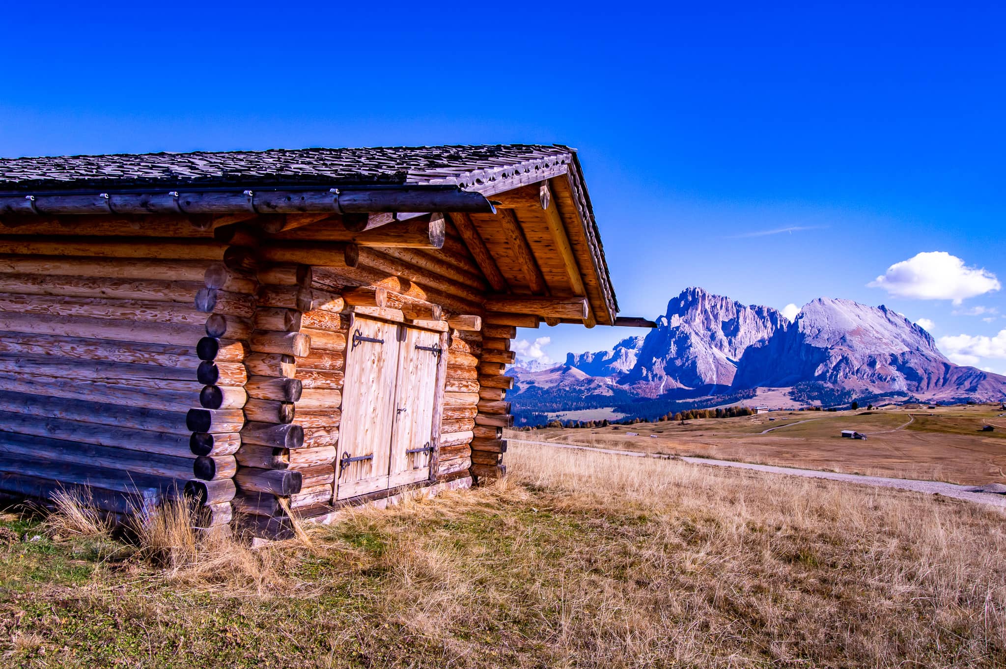 DSC_0132.jpg