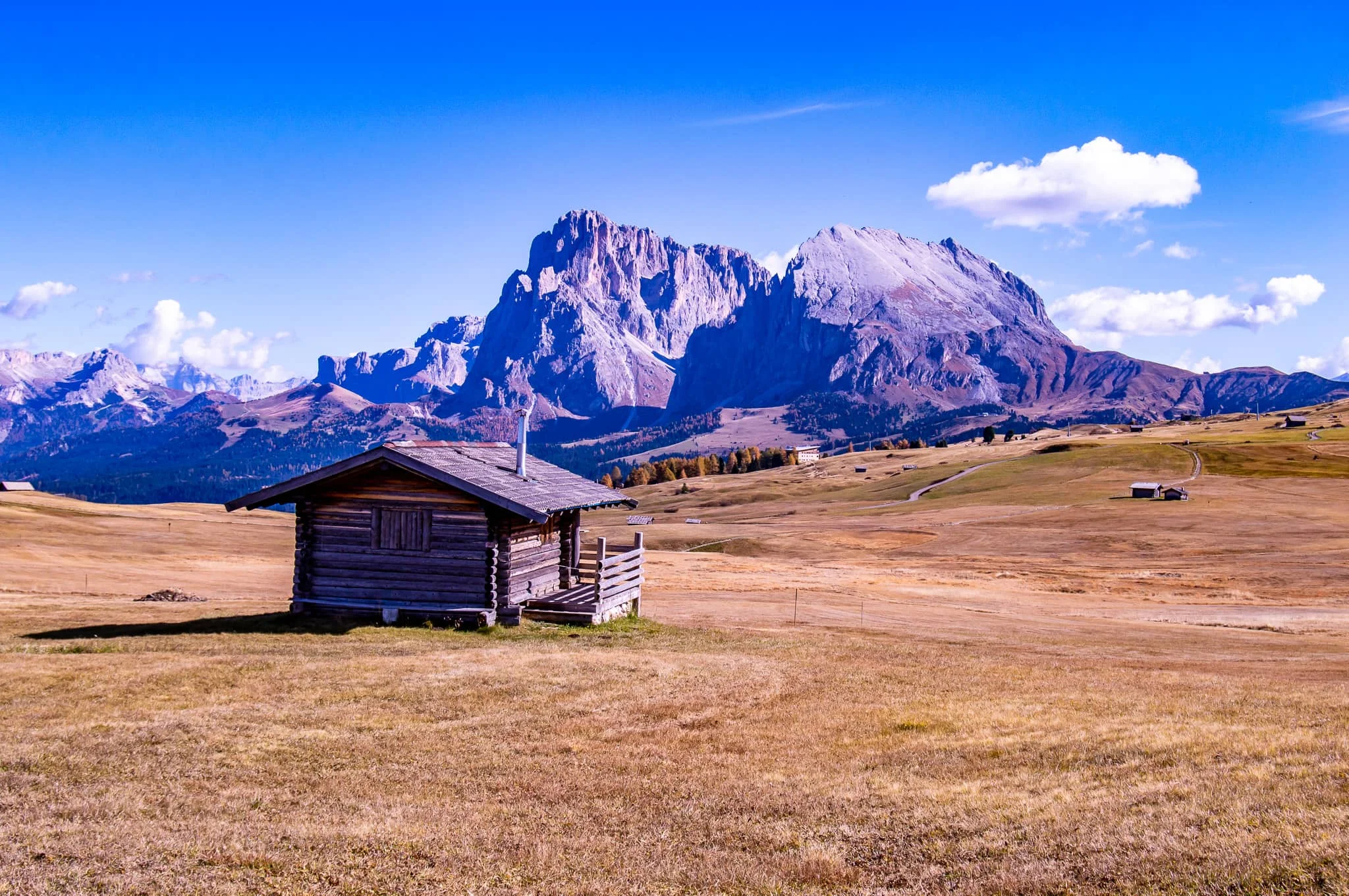DSC_0136.jpg